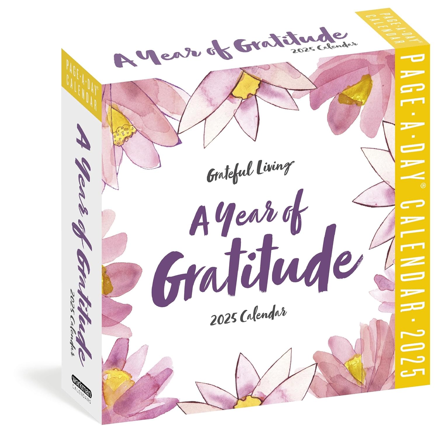 2025 A Year of Gratitude - Daily Boxed Page-A-Day Calendar