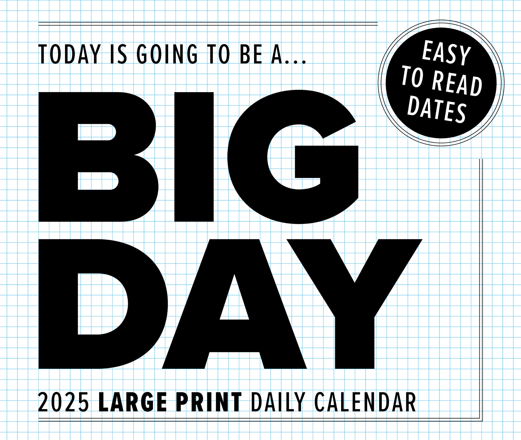 2025 Big Day - Daily Boxed Page-A-Day Calendar (US Only)