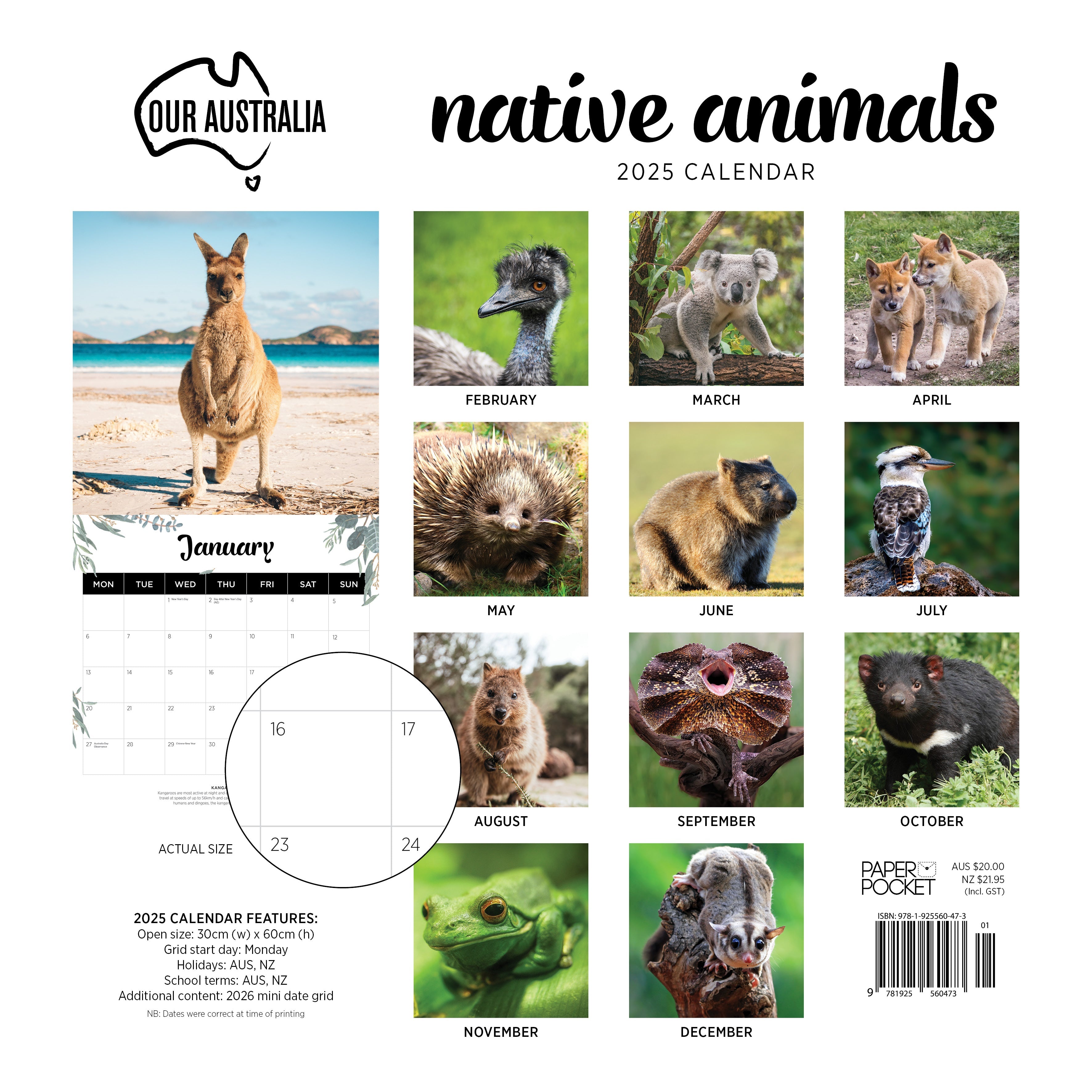 2025 Our Australia Native Animals - Square Wall Calendar