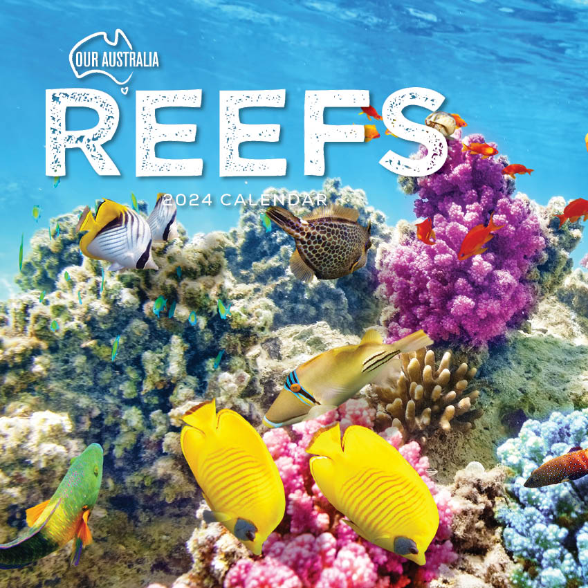 2024 Our Australia Reefs - Square Wall Calendar