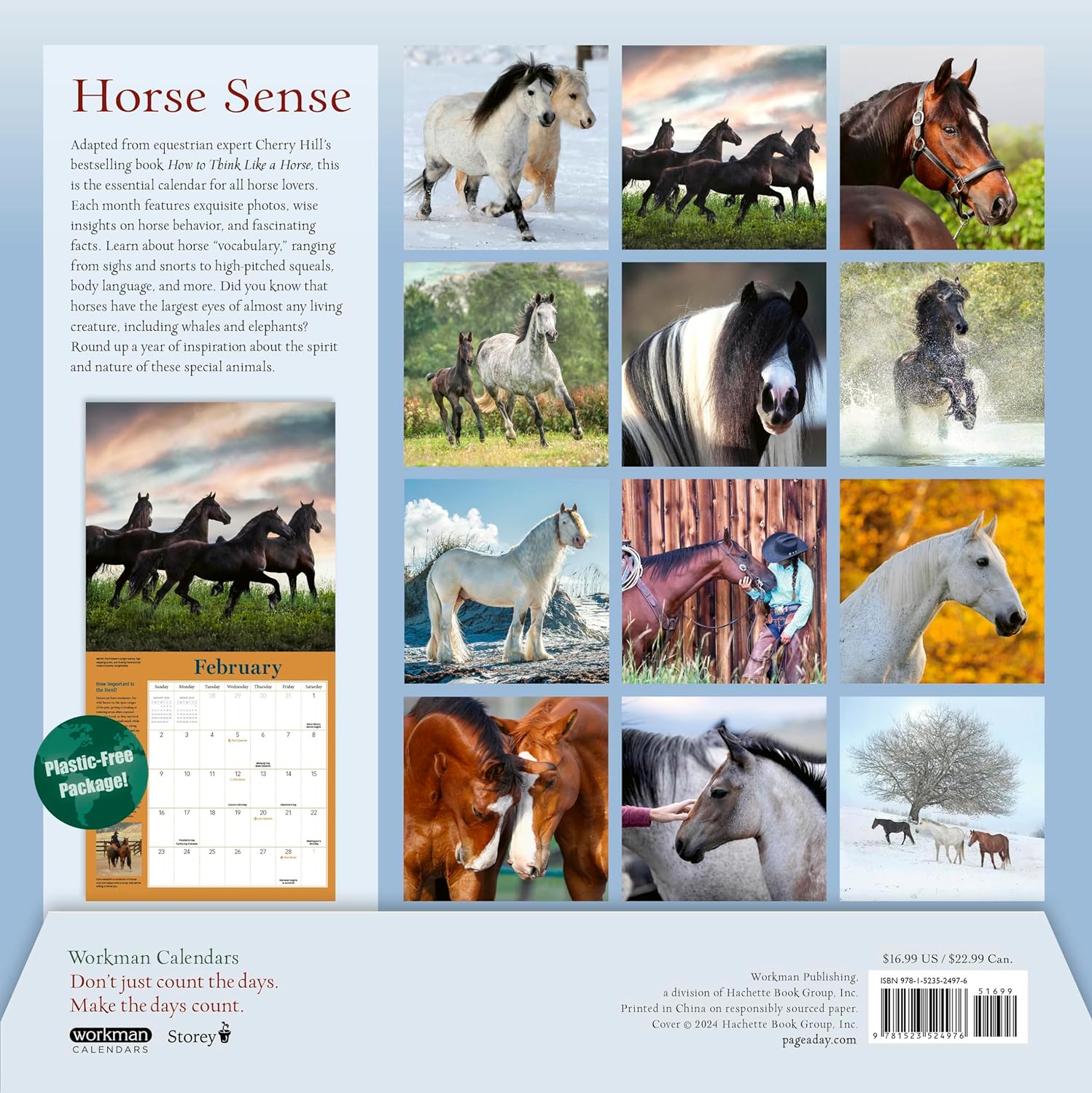 2025 How to Think Like a Horse - Square Wall Calendar