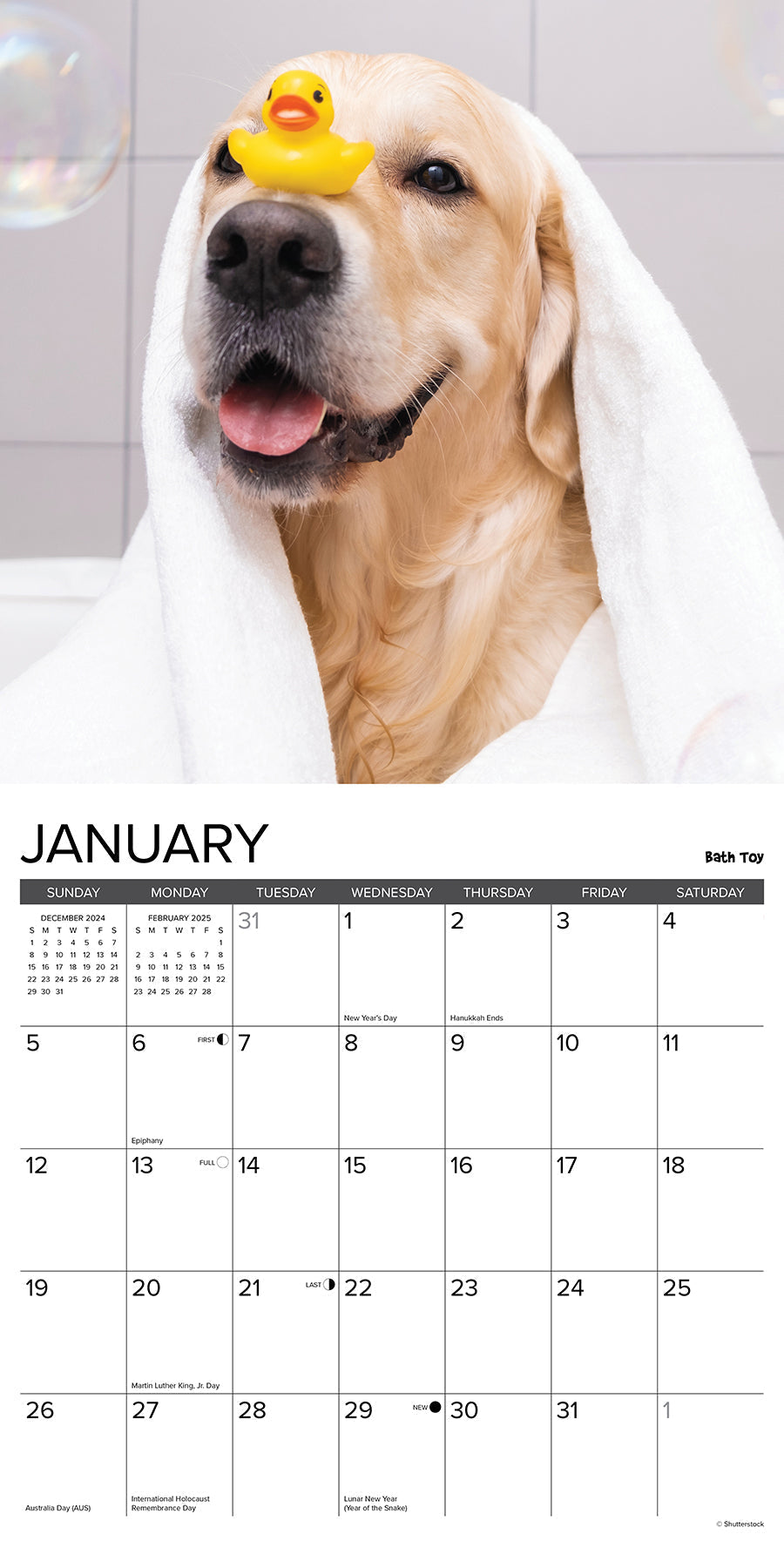 2025 12 Uses for a Golden - Square Wall Calendar (US Only)