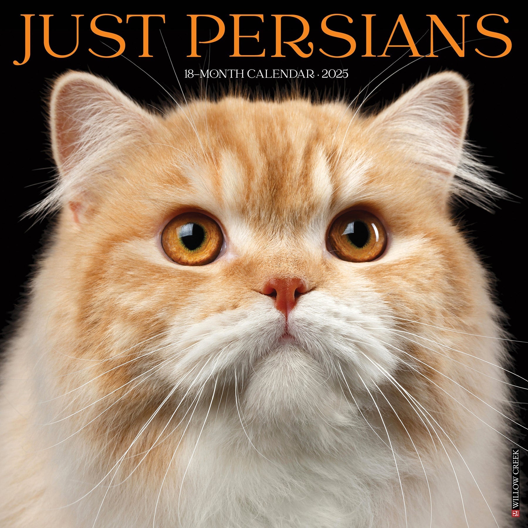 2025 Persians - Square Wall Calendar (US Only)