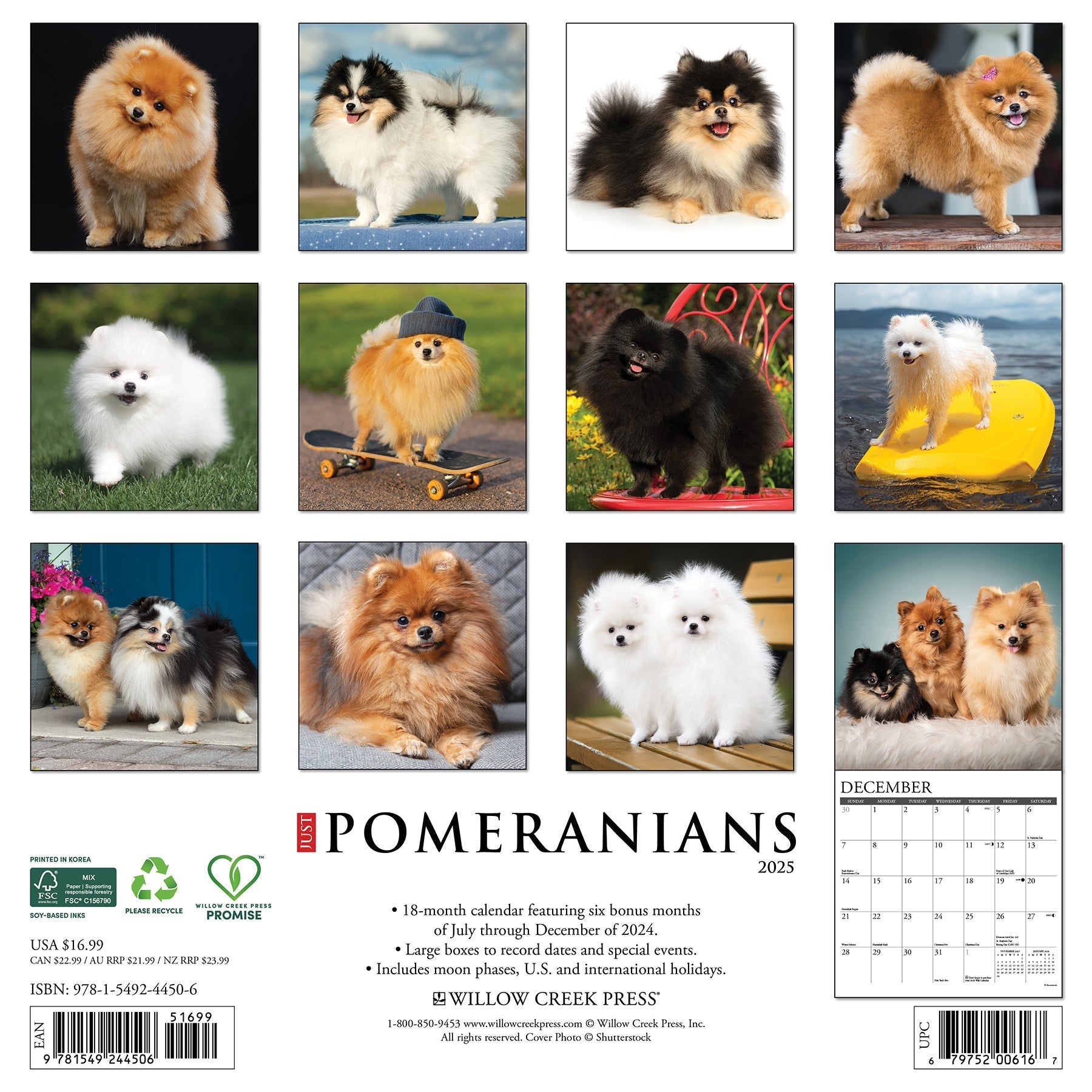 2025 Pomeranians - Square Wall Calendar (US Only)