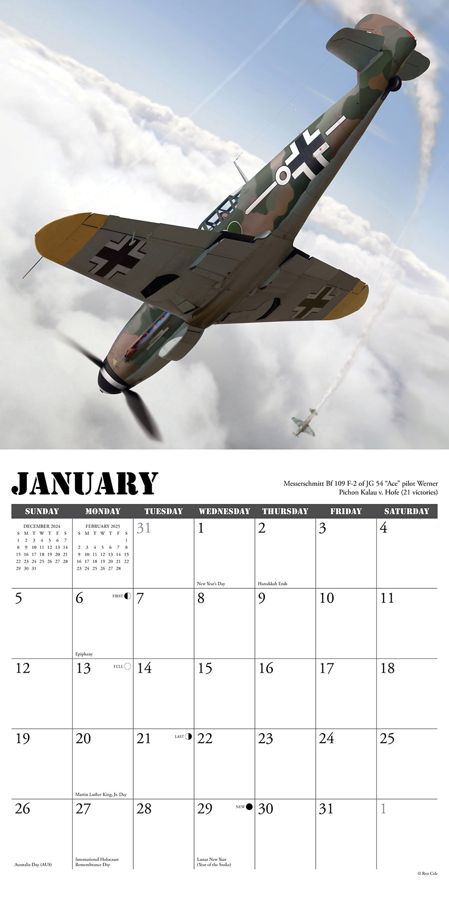 2025 Warbirds of WWII - Square Wall Calendar (US Only)