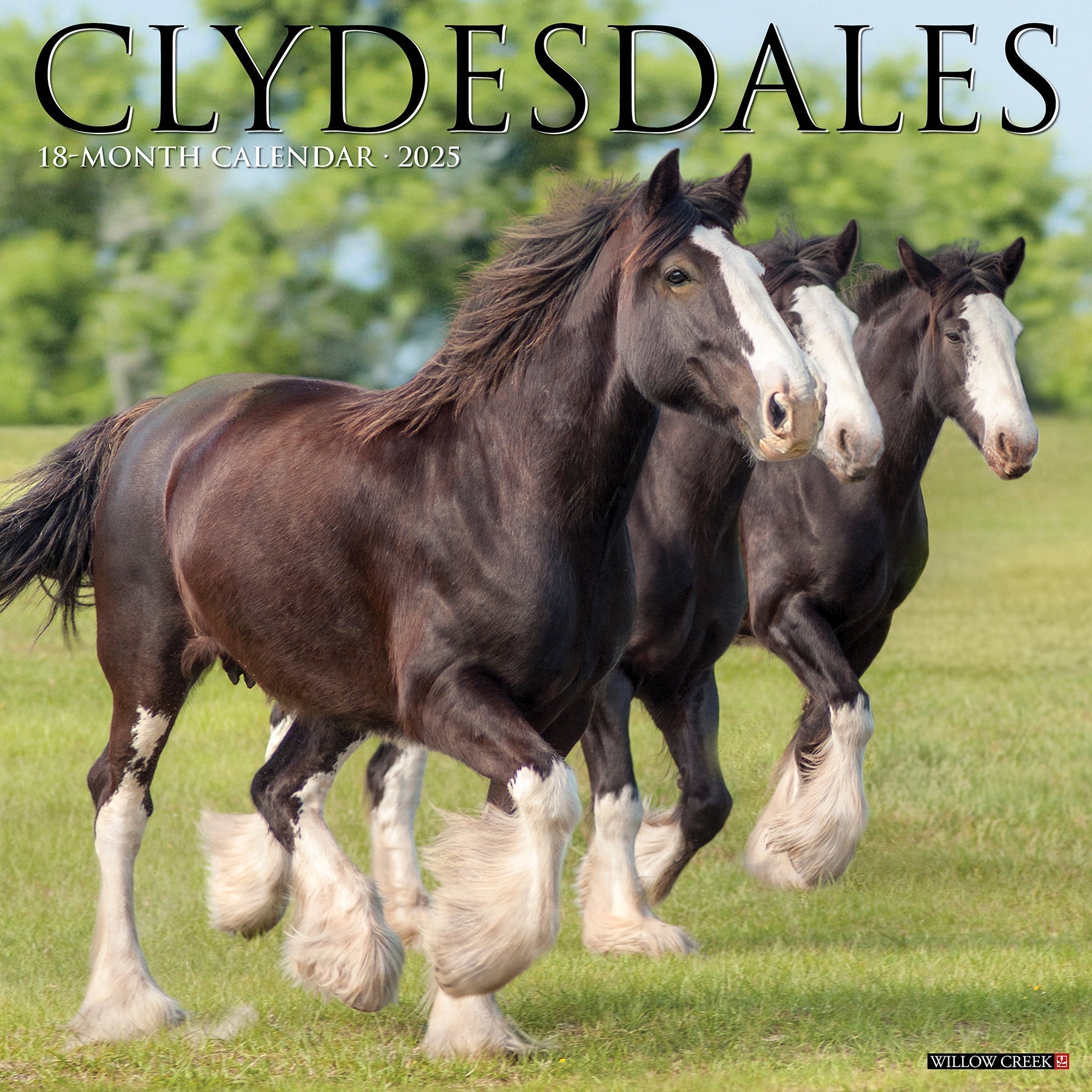 2025 Clydesdales - Square Wall Calendar (US Only)