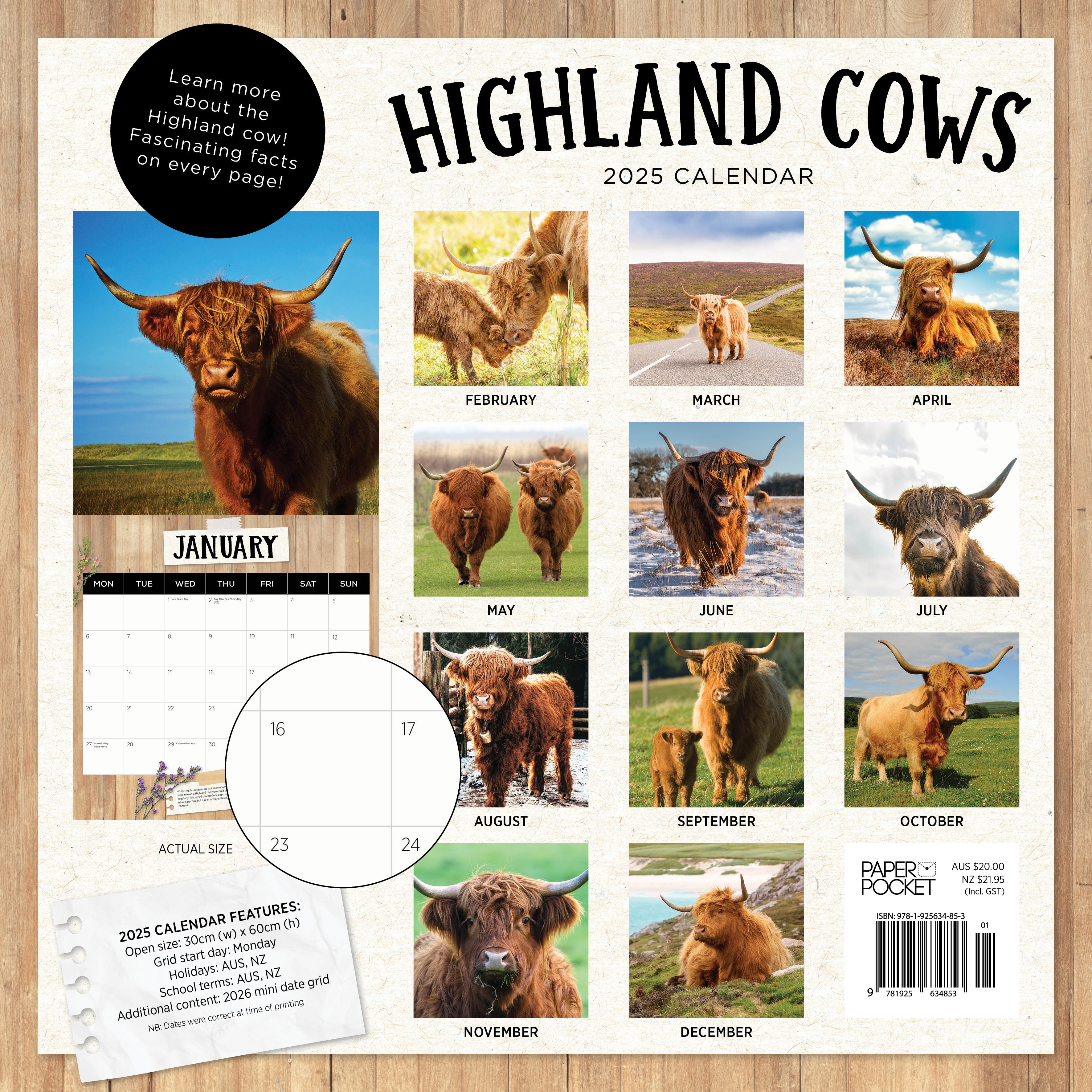 2025 Highland Cows - Square Wall Calendar