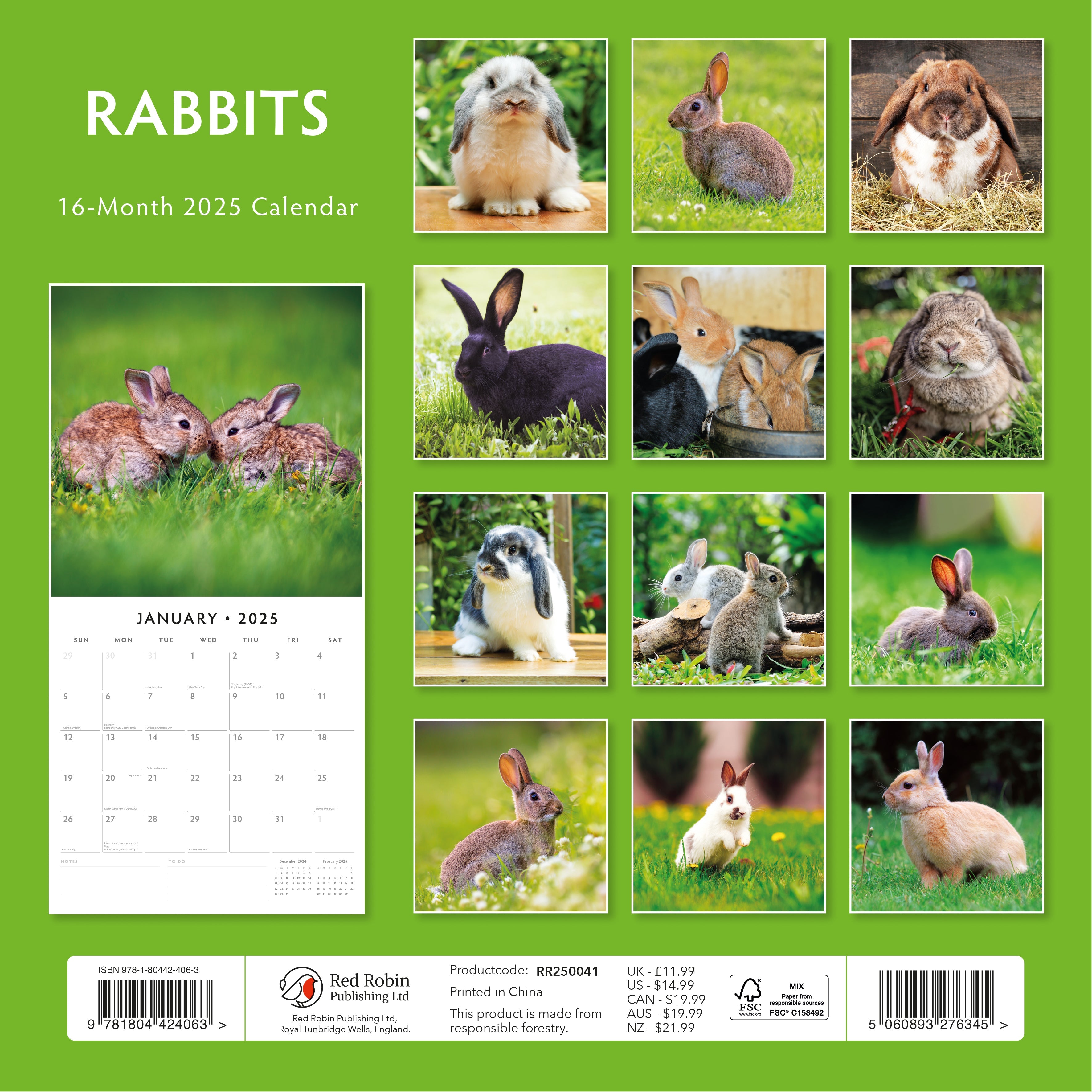 2025 Rabbits - Square Wall Calendar