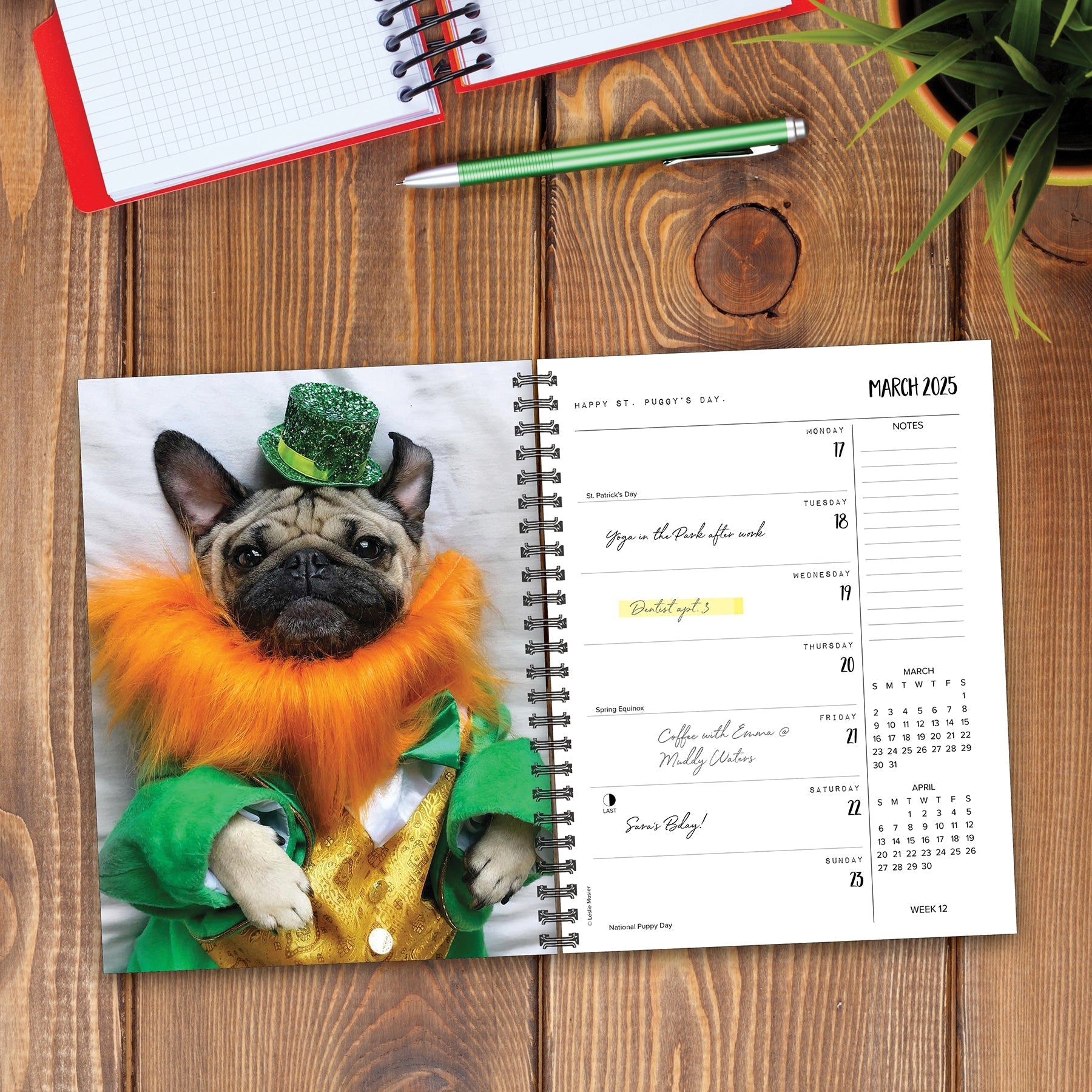 2025 Doug the Pug - Weekly Diary/Planner (US Only)