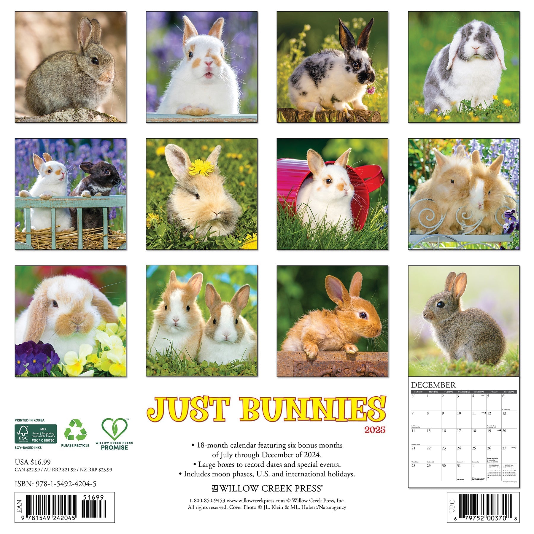 2025 Bunnies - Square Wall Calendar (US Only)