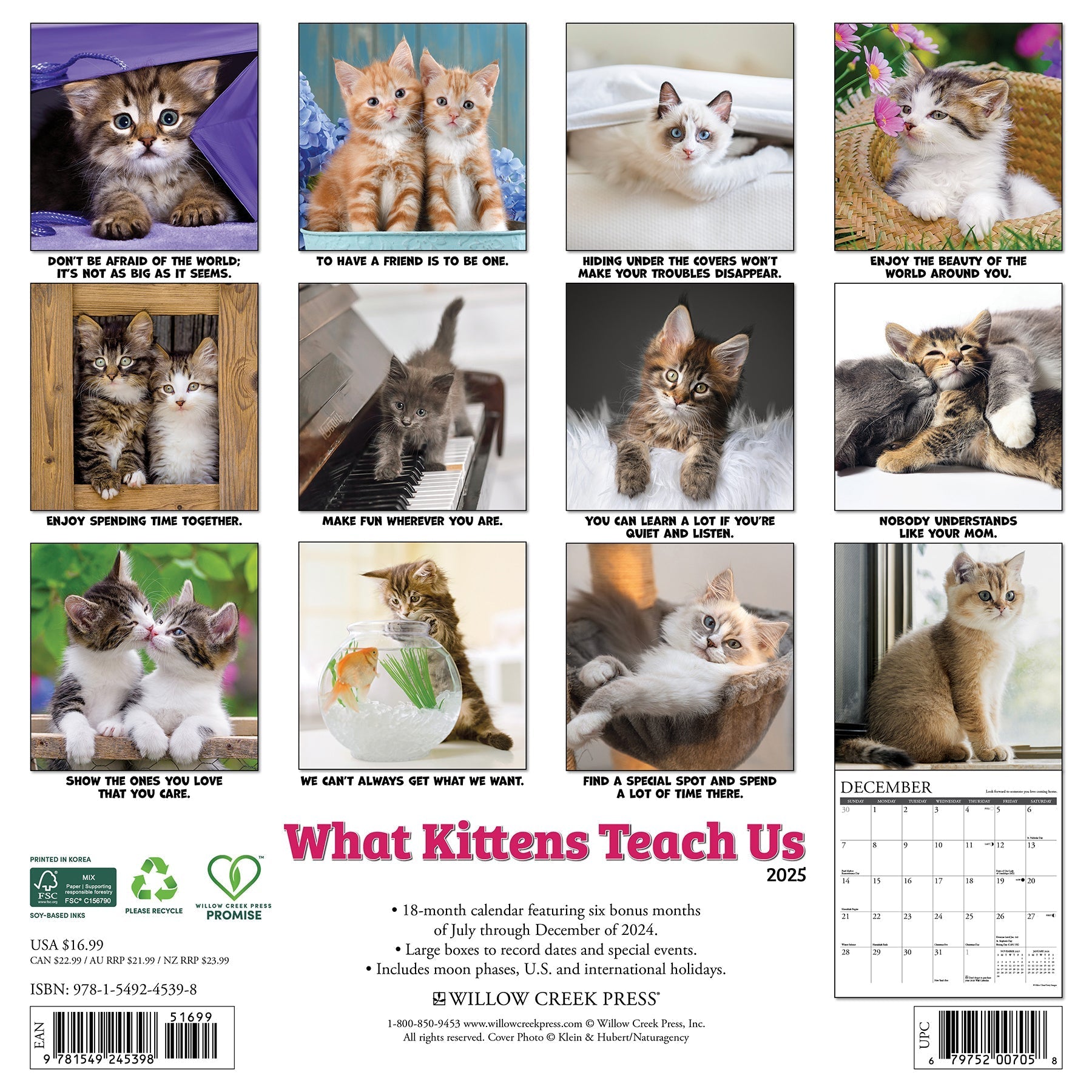 2025 What Kittens Teach Us - Square Wall Calendar (US Only)