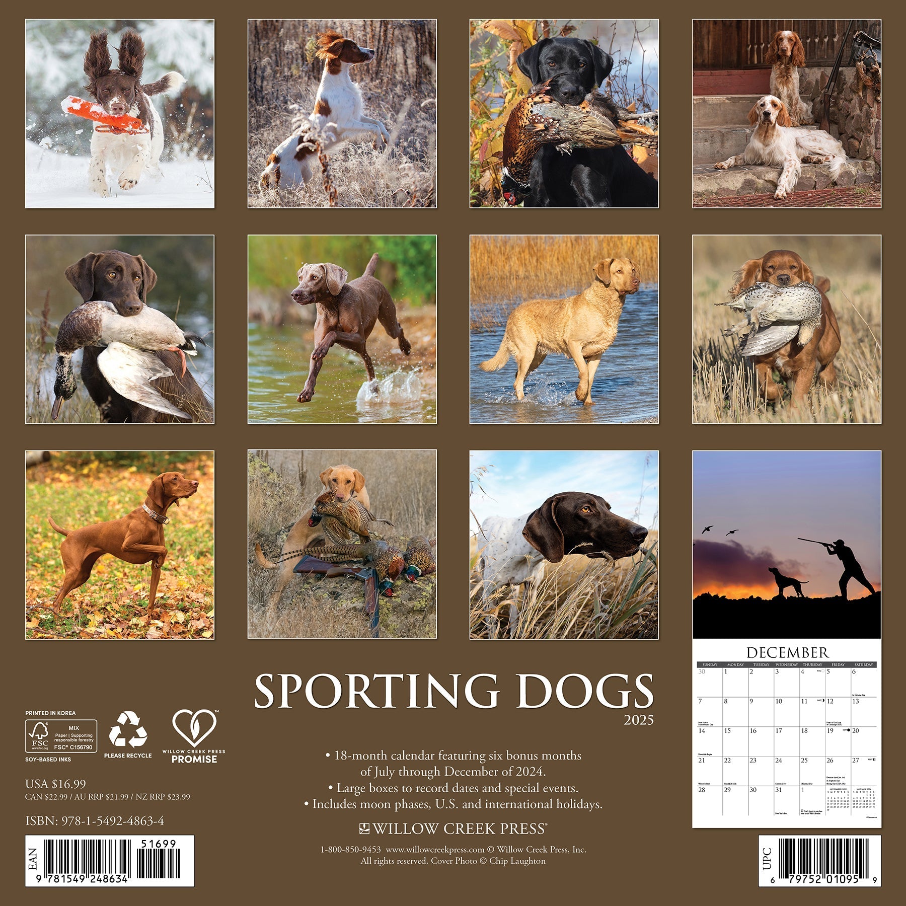 2025 Sporting Dogs - Square Wall Calendar (US Only)