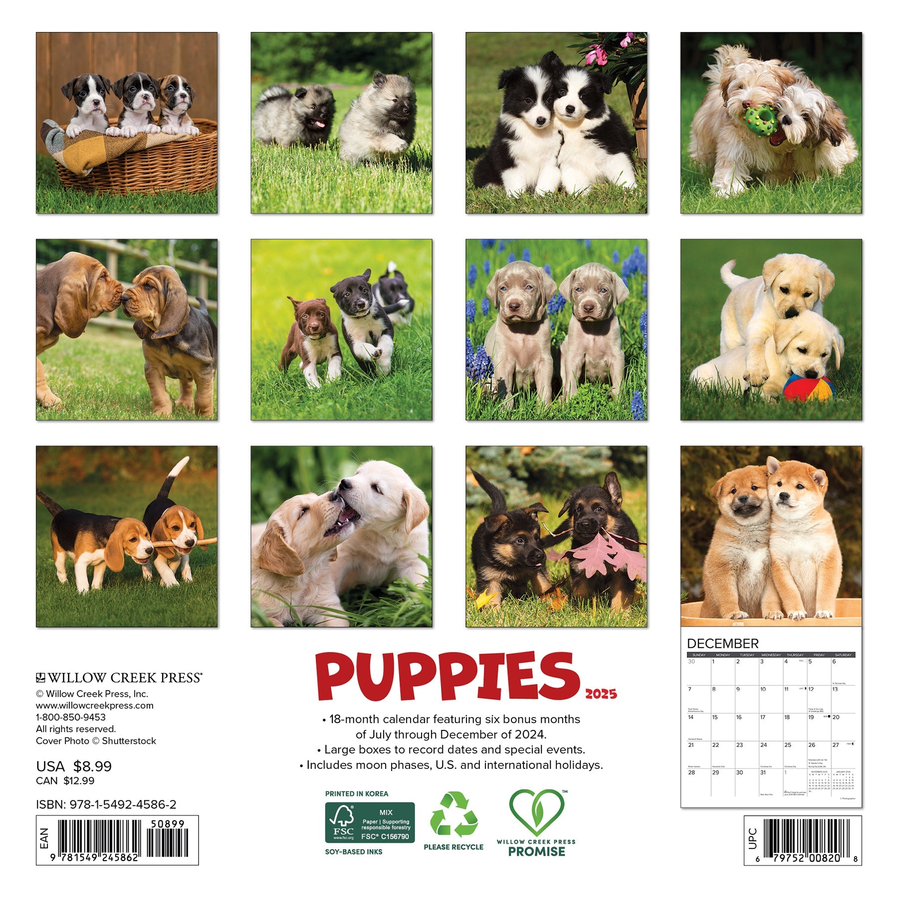 2025 Puppies - Mini Wall Calendar (US Only)
