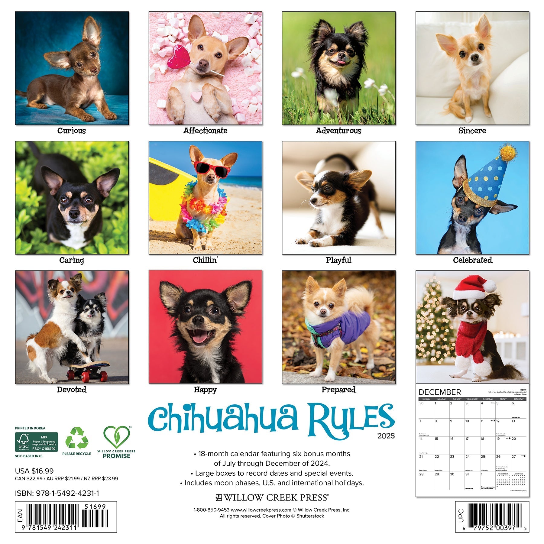 2025 Chihuahua Rules - Square Wall Calendar (US Only)