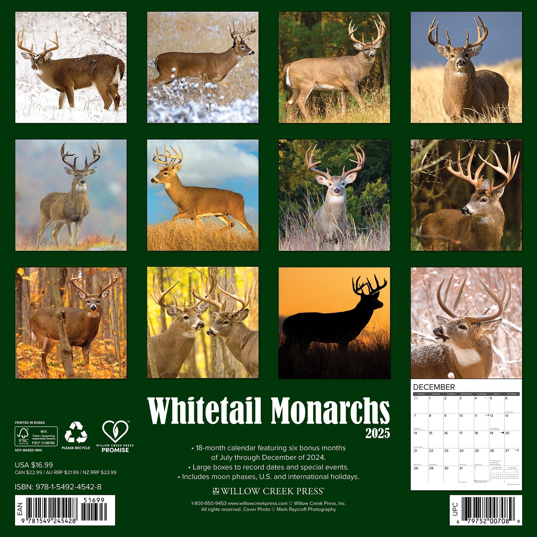 2025 Whitetail Monarchs (Deer) - Square Wall Calendar (US Only)