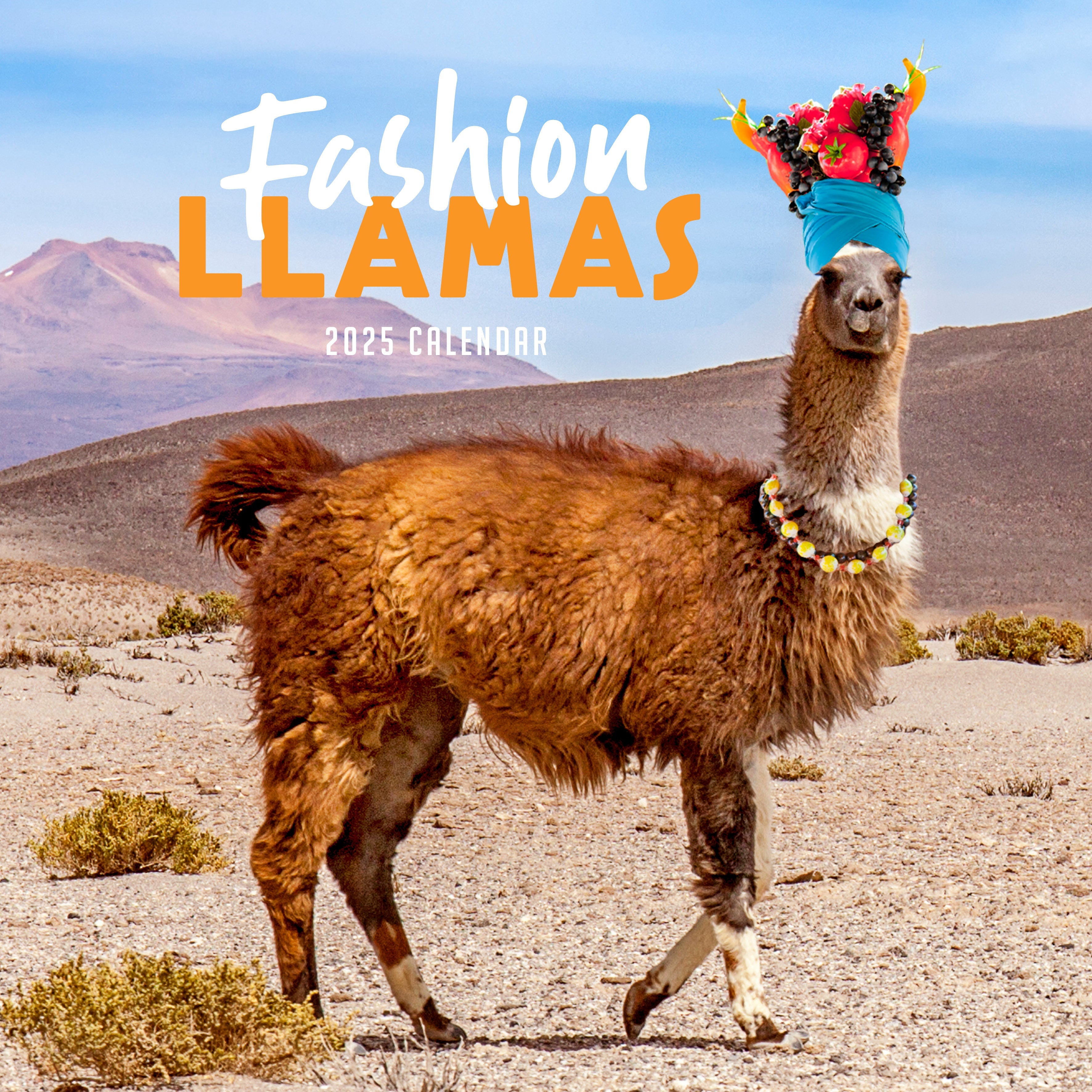 2025 Fashion Llamas - Square Wall Calendar