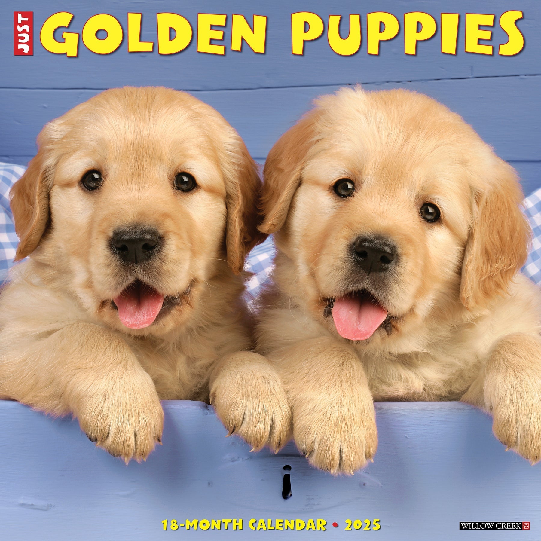 2025 Golden Puppies - Square Wall Calendar (US Only)