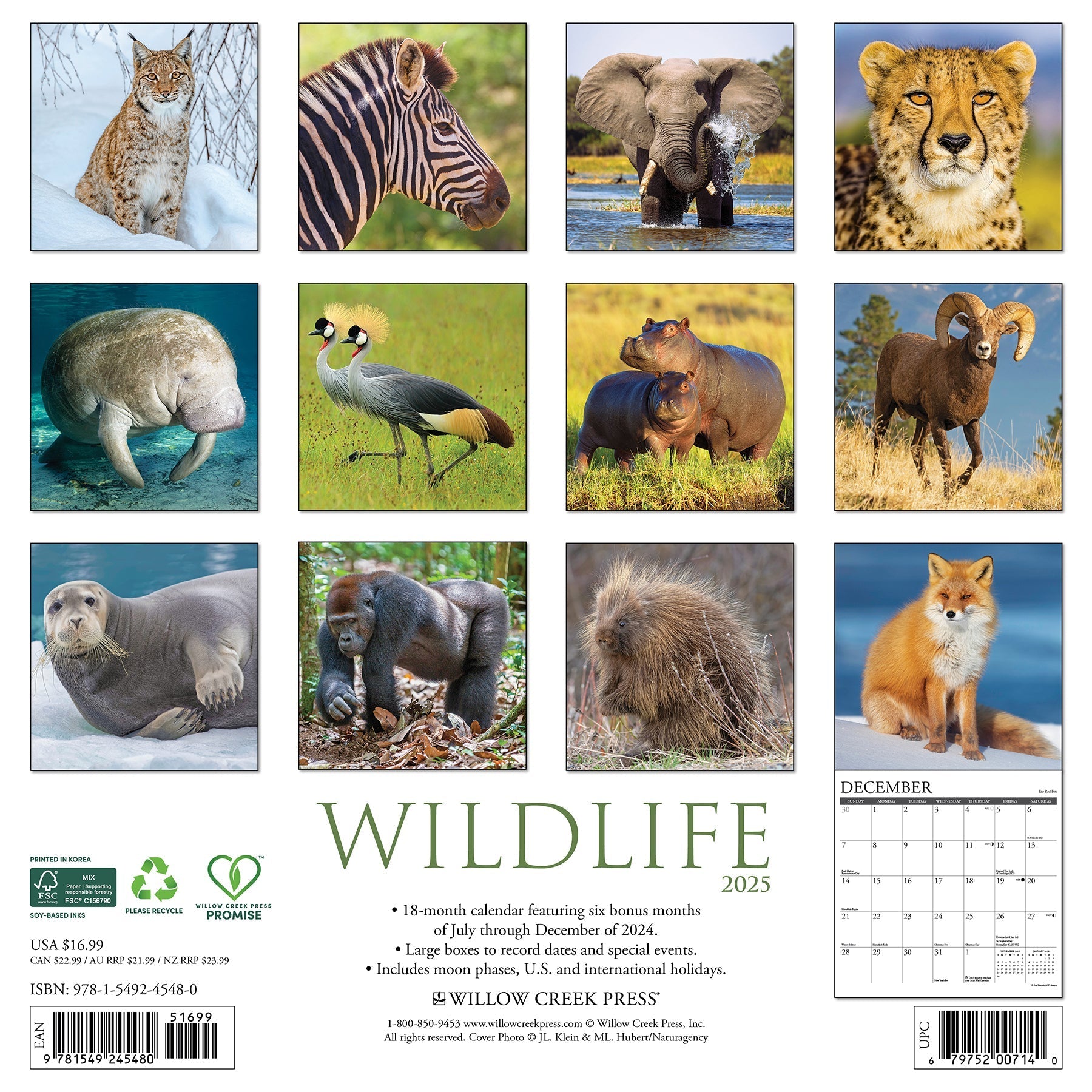 2025 Wildlife - Square Wall Calendar (US Only)