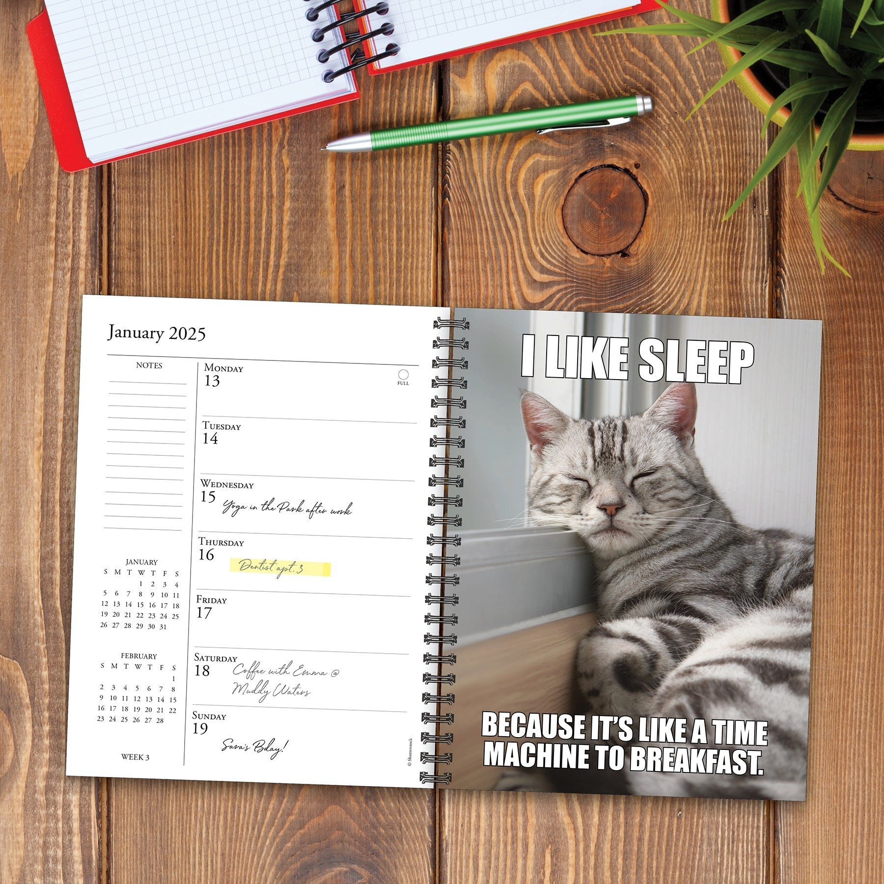 2025 Cat-astrophe - Weekly Diary/Planner (US Only)