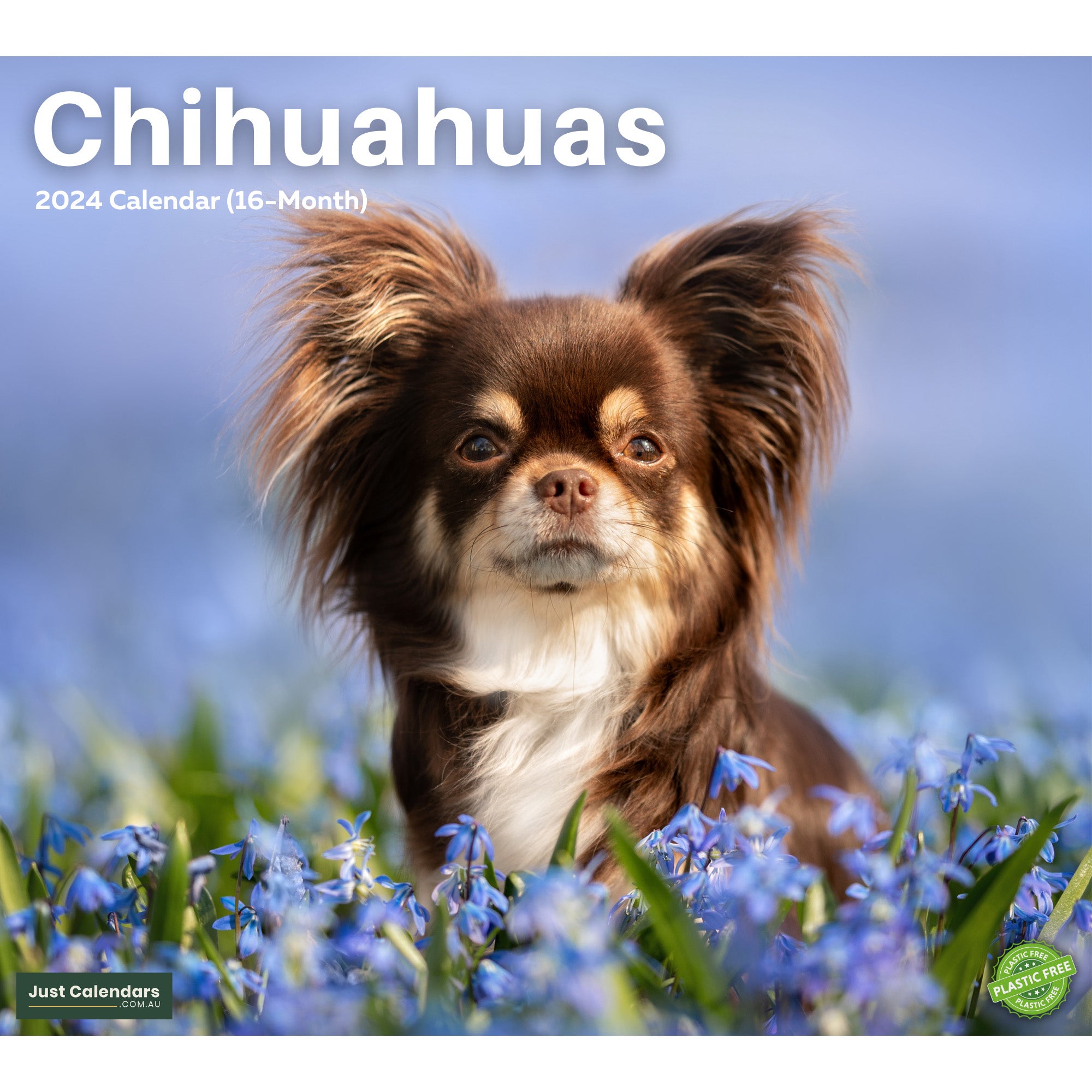 2024 Chihuahuas - Deluxe Wall Calendar
