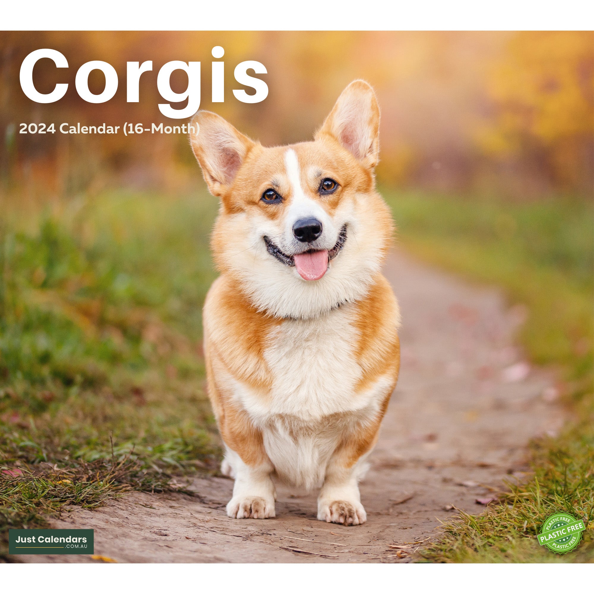 2024 Corgis Dogs & Puppies - Deluxe Wall Calendar by Just Calendars - 16 Month - Plastic Free