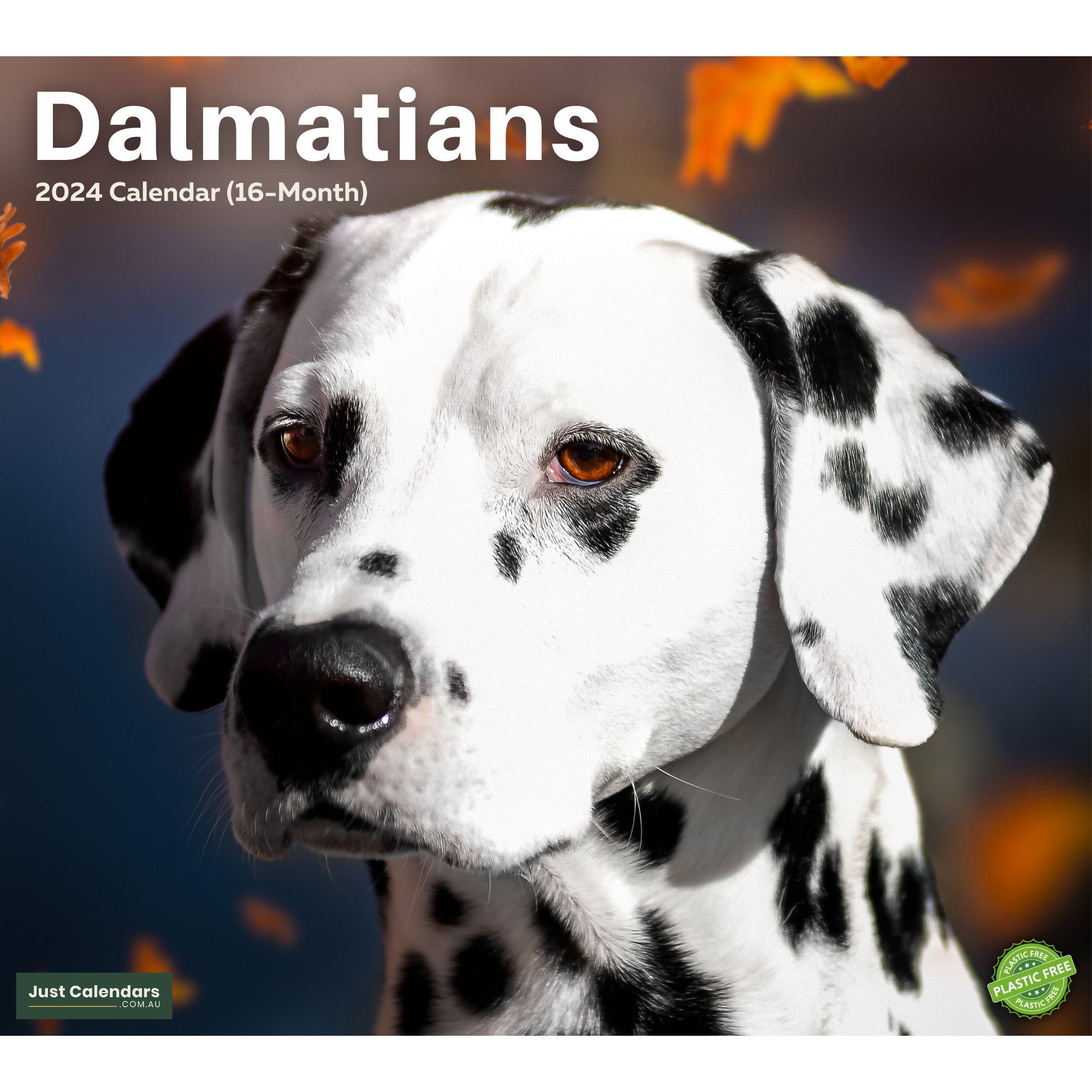 2024 Dalmatians Dogs & Puppies - Deluxe Wall Calendar by Just Calendars - 16 Month - Plastic Free