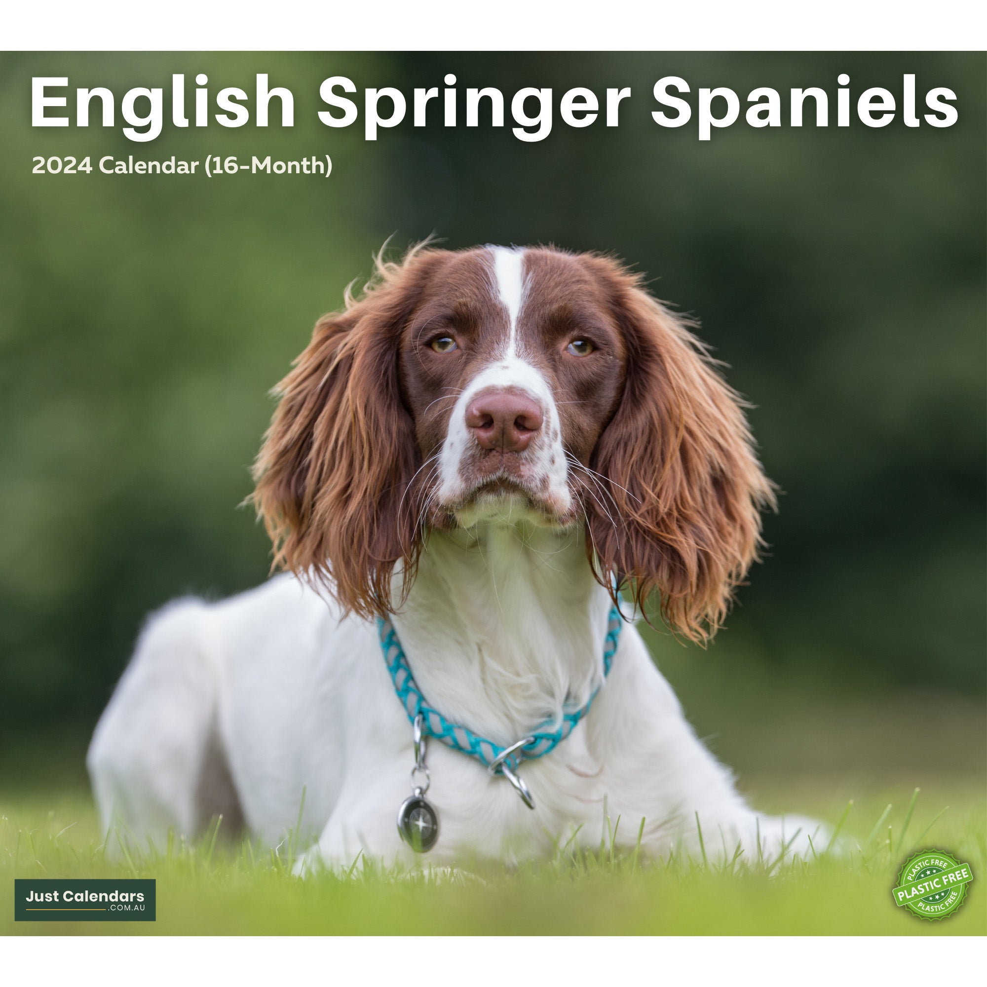 2024 English Springer Spaniels Dogs & Puppies - Deluxe Wall Calendar by Just Calendars - 16 Month - Plastic Free