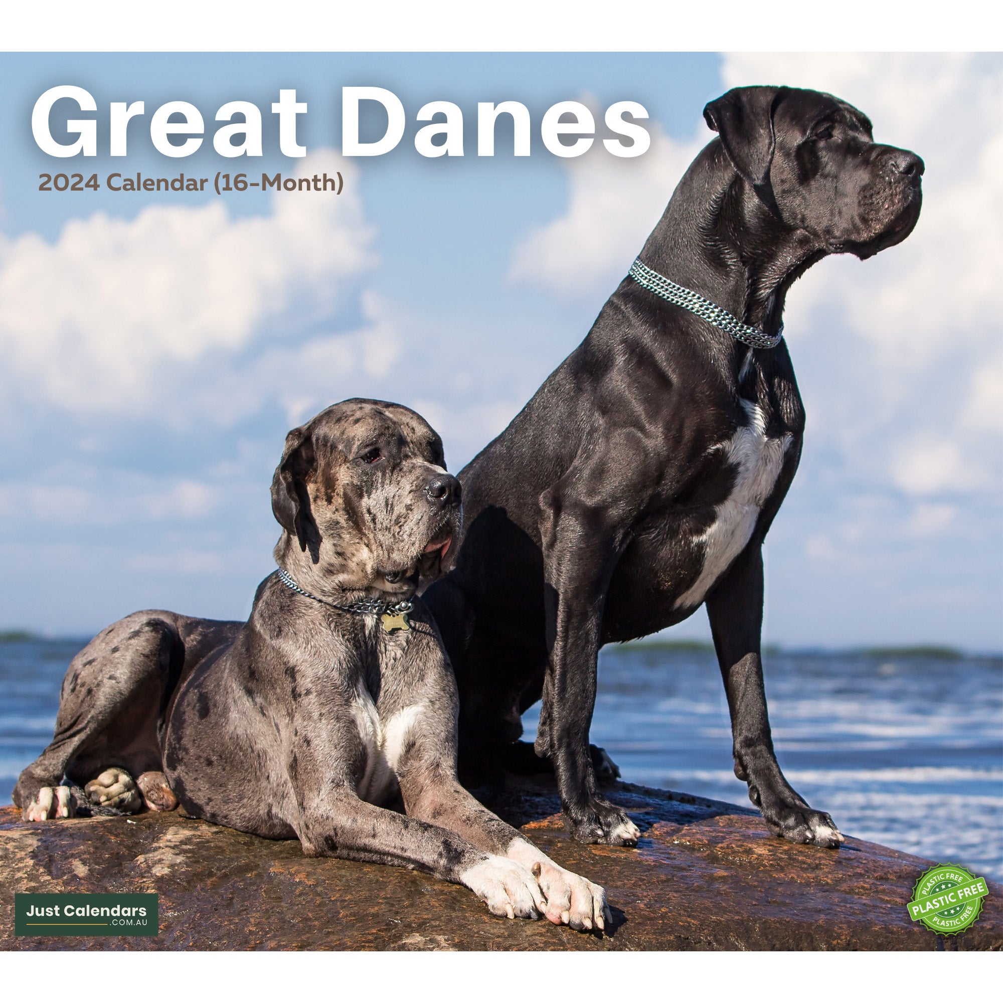 2024 Great Danes Dogs & Puppies - Deluxe Wall Calendar by Just Calendars - 16 Month - Plastic Free