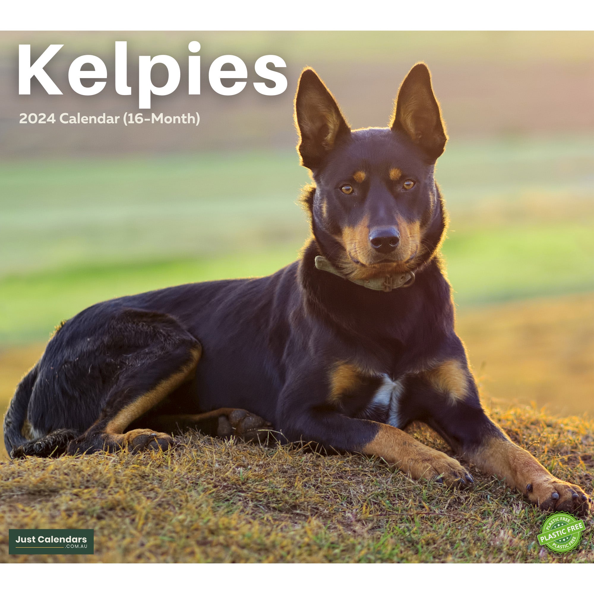 2024 Kelpies Dogs & Puppies - Deluxe Wall Calendar by Just Calendars - 16 Month - Plastic Free