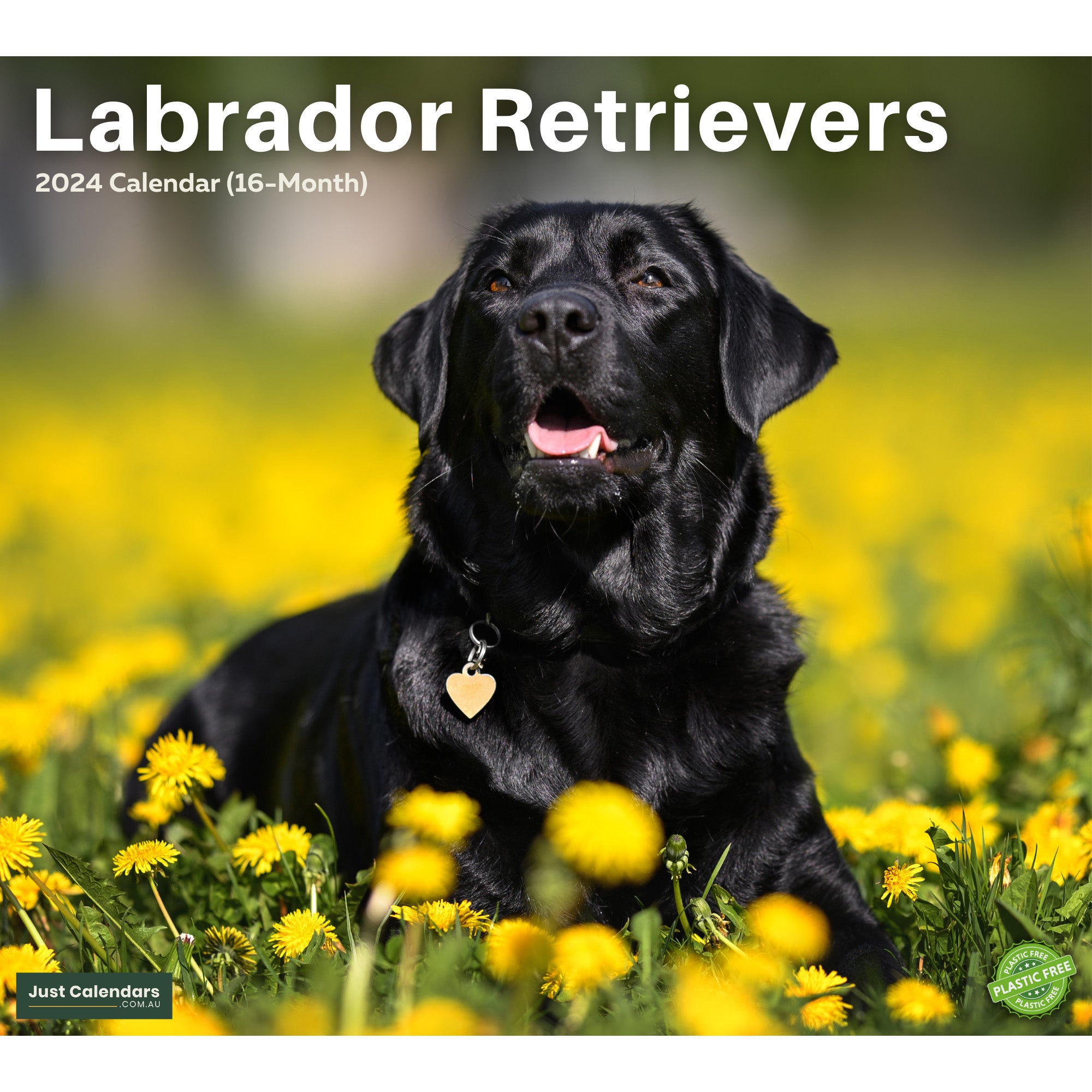 2024 Labrador Retrievers Dogs & Puppies - Deluxe Wall Calendar by Just Calendars - 16 Month - Plastic Free