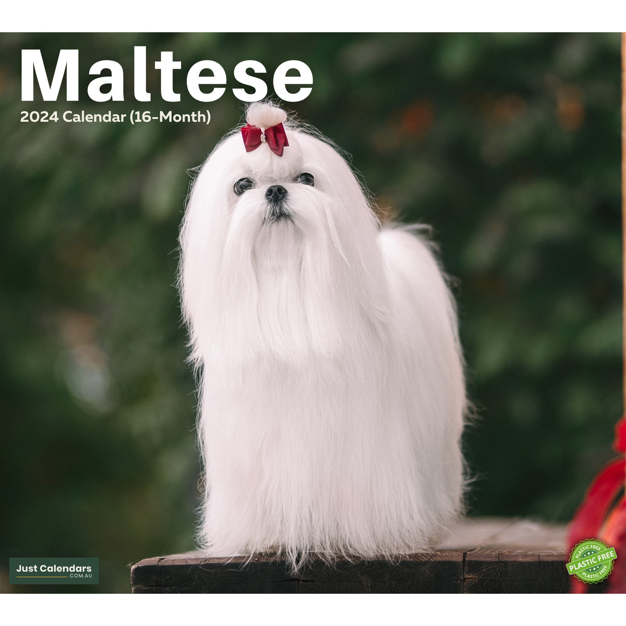 2024 Maltese Dogs & Puppies - Deluxe Wall Calendar by Just Calendars - 16 Month - Plastic Free