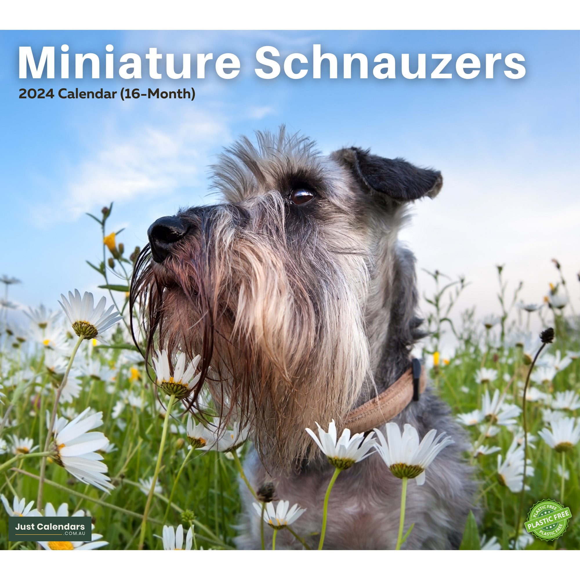 2024 Miniature Schnauzers Dogs & Puppies - Deluxe Wall Calendar by Just Calendars - 16 Month - Plastic Free