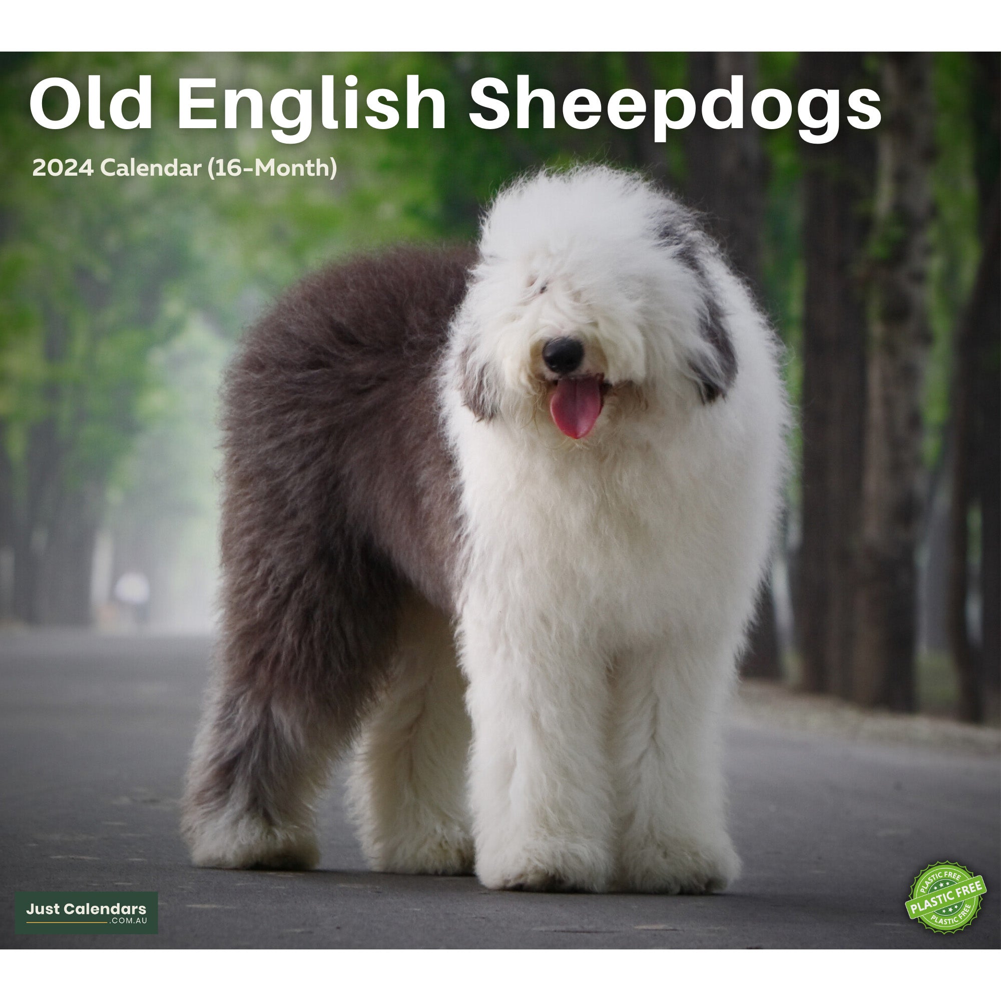 2024 Old English Sheepdogs Dogs & Puppies - Deluxe Wall Calendar by Just Calendars - 16 Month - Plastic Free