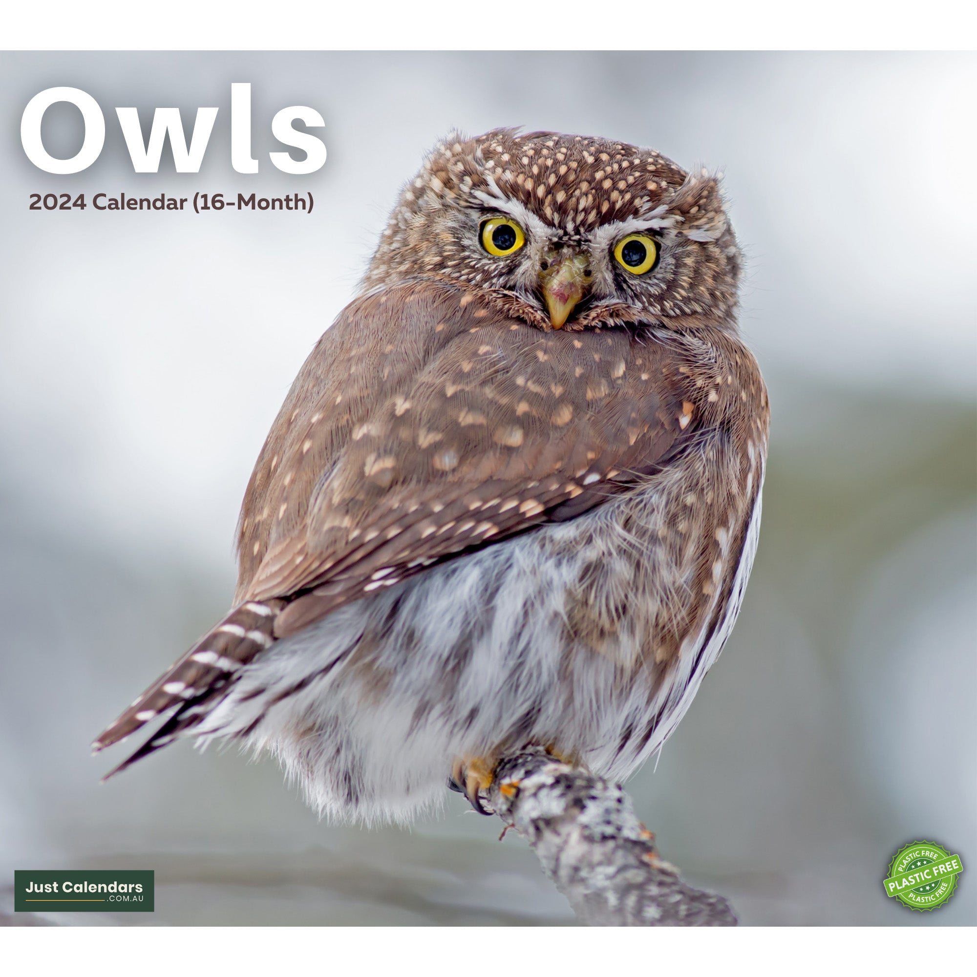 2024 Owls Deluxe Wall Calendar Animals & Wildlife Calendars By
