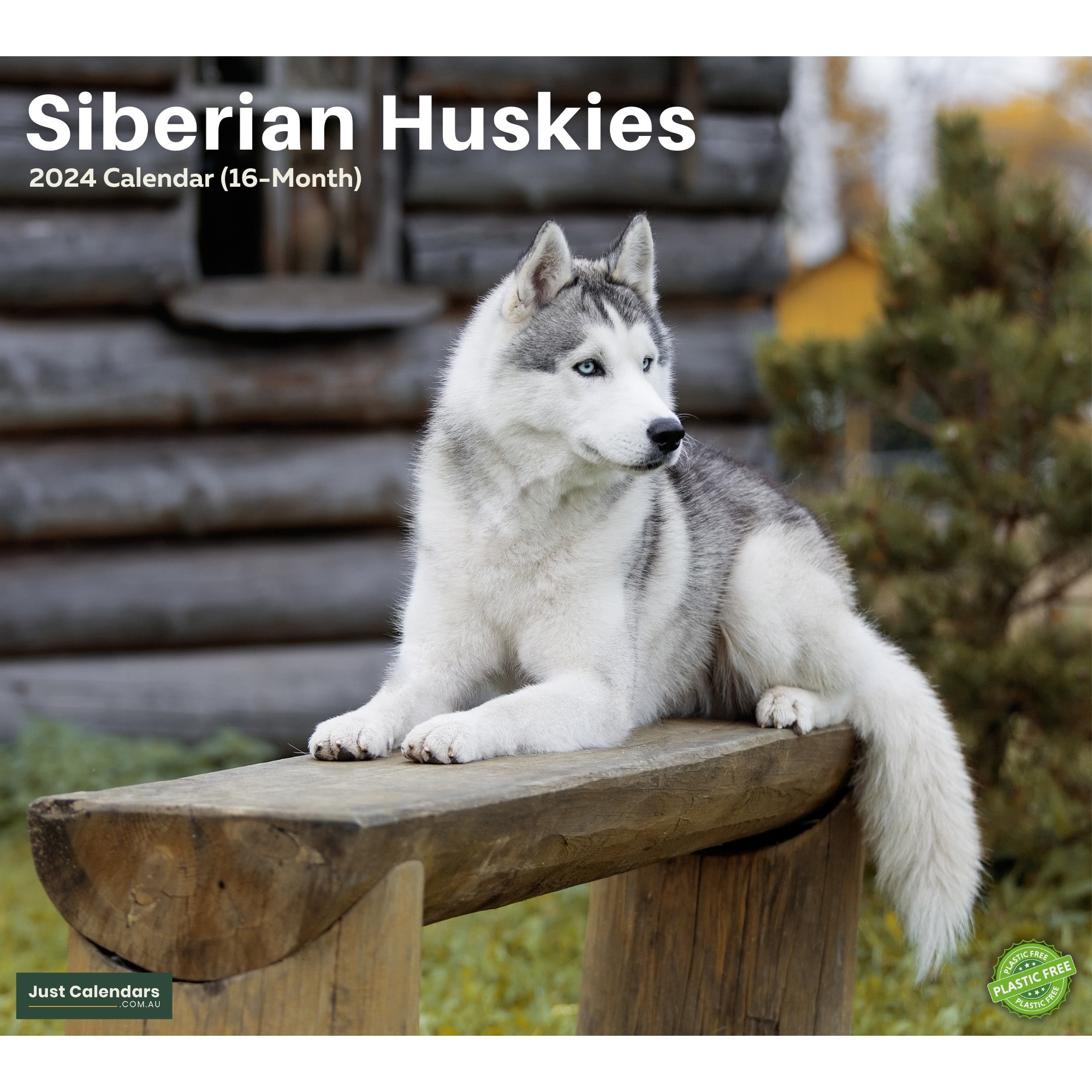 2024 Siberian Huskies Dogs & Puppies - Deluxe Wall Calendar by Just Calendars - 16 Month - Plastic Free