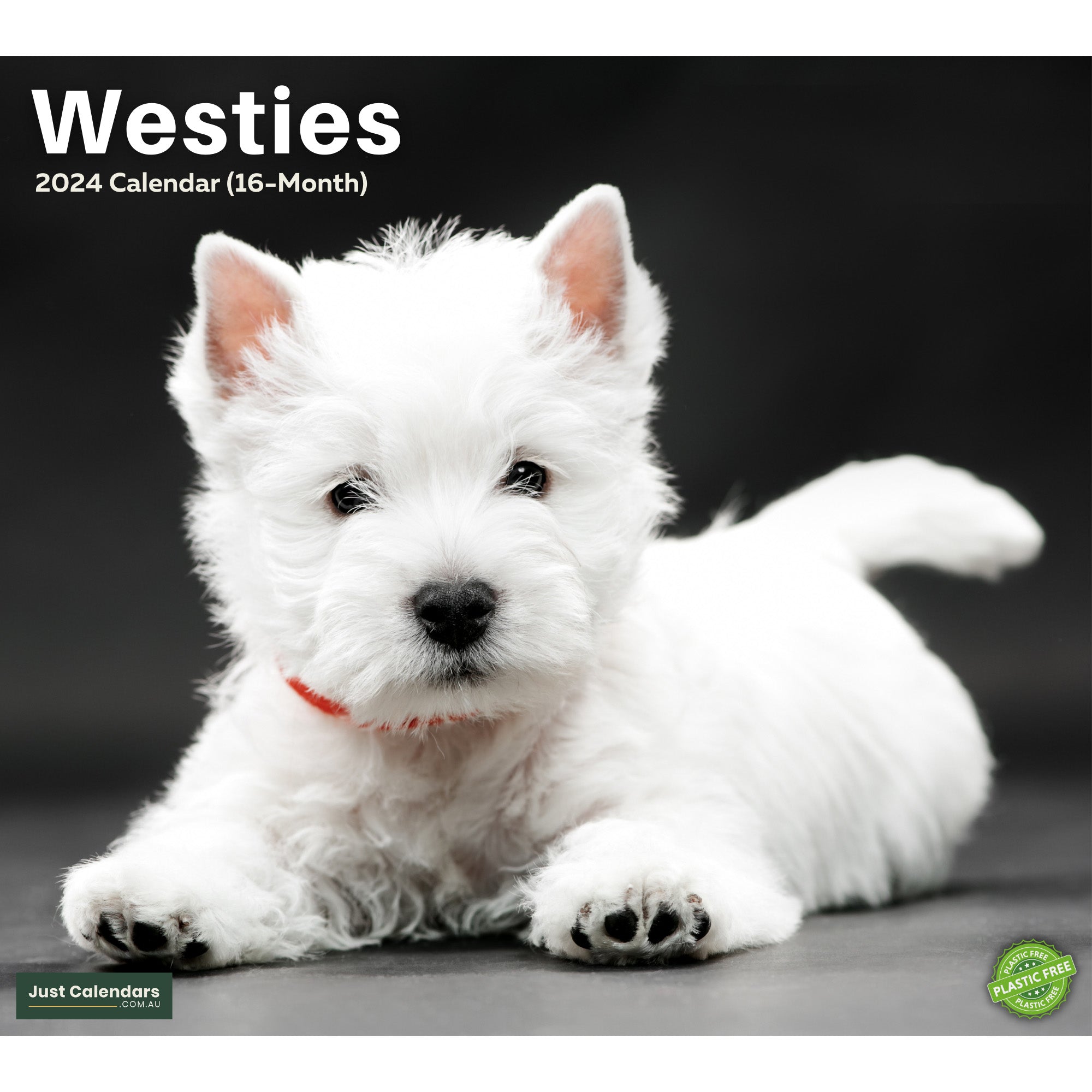 2024 Westies Dogs & Puppies - Deluxe Wall Calendar by Just Calendars - 16 Month - Plastic Free