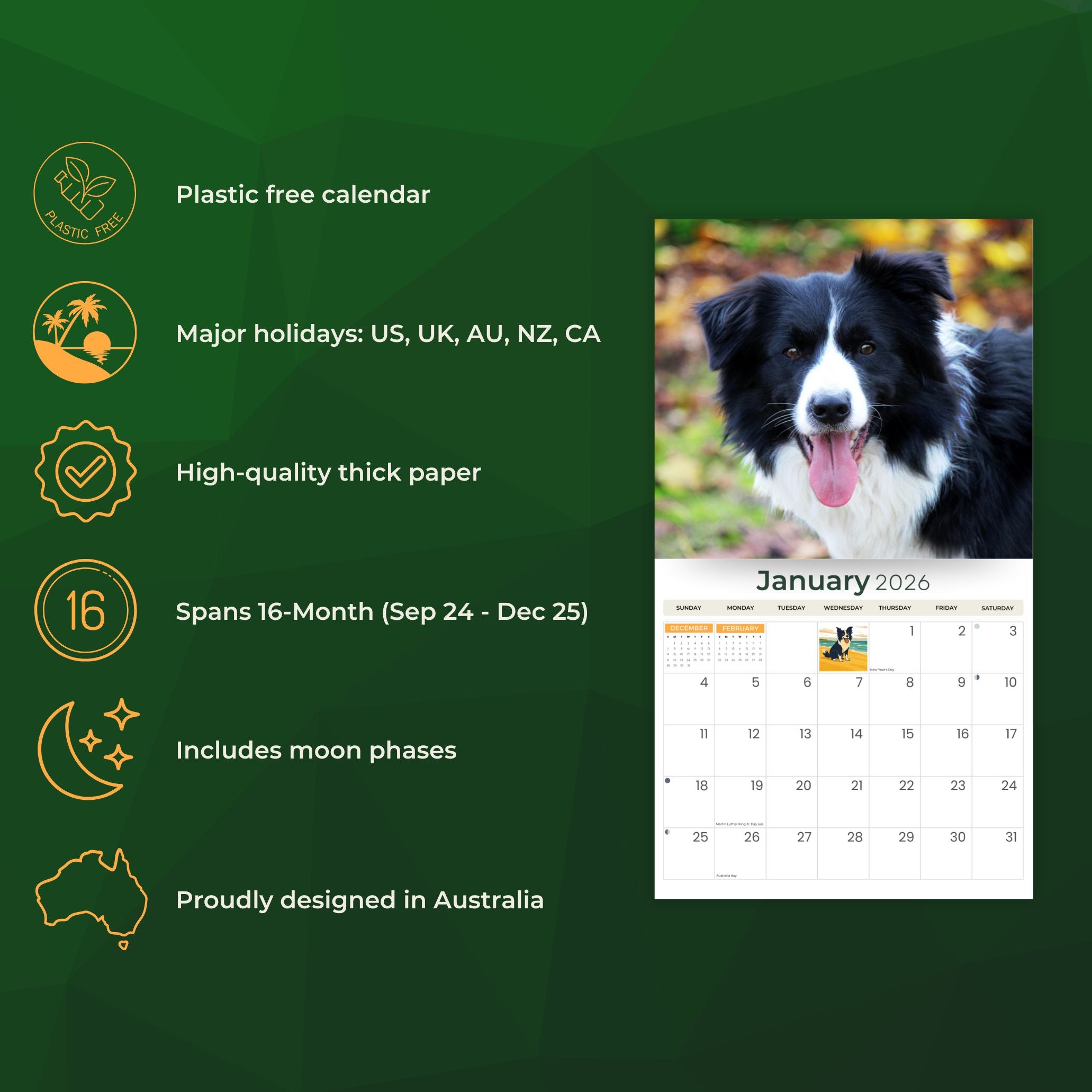 2026 Border Collies - Deluxe Wall Calendar
