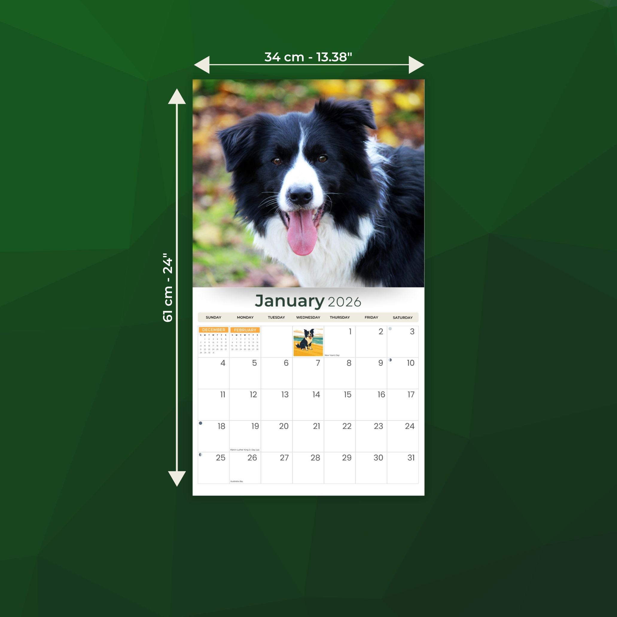 2026 Border Collies - Deluxe Wall Calendar