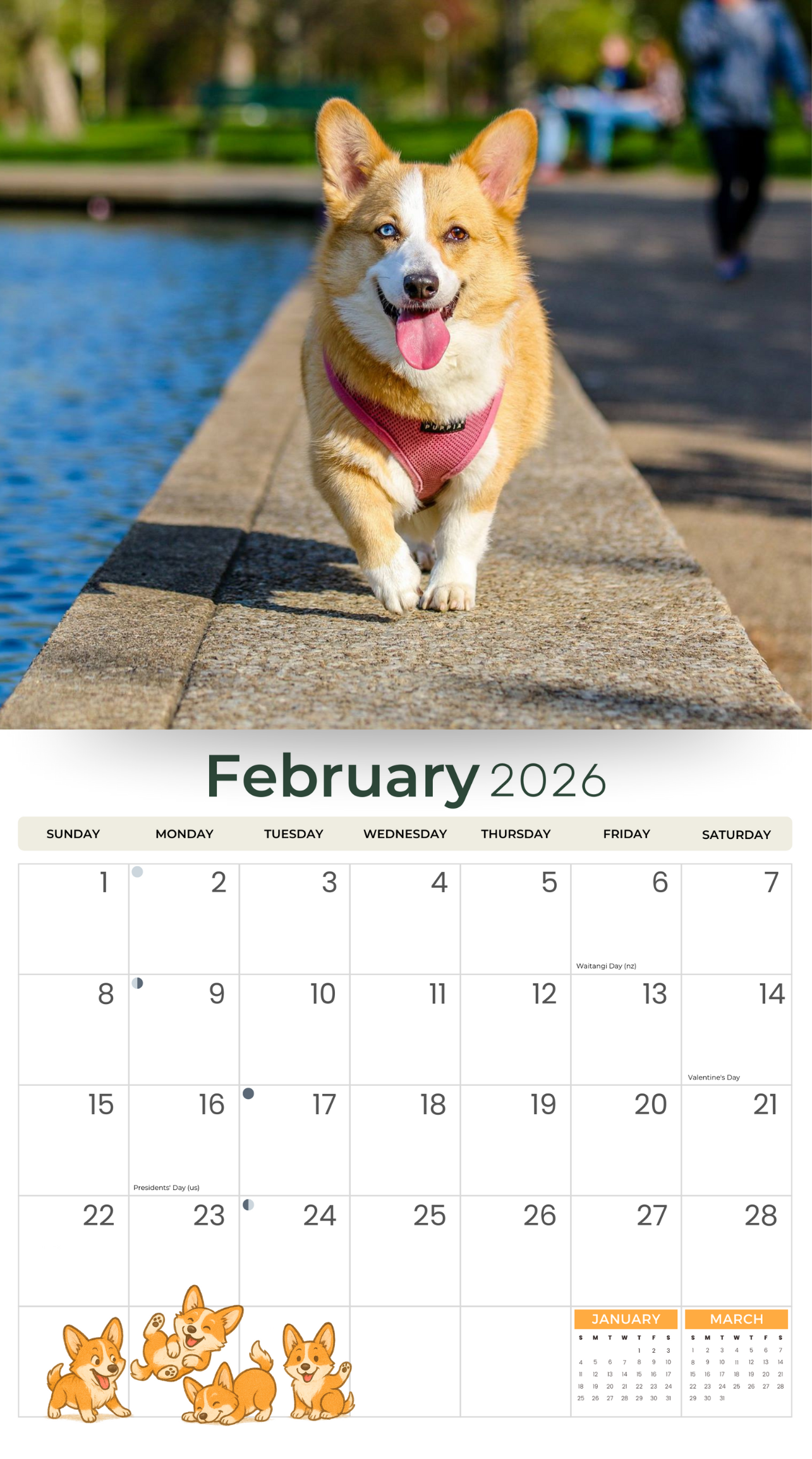 2026 Corgis - Deluxe Wall Calendar