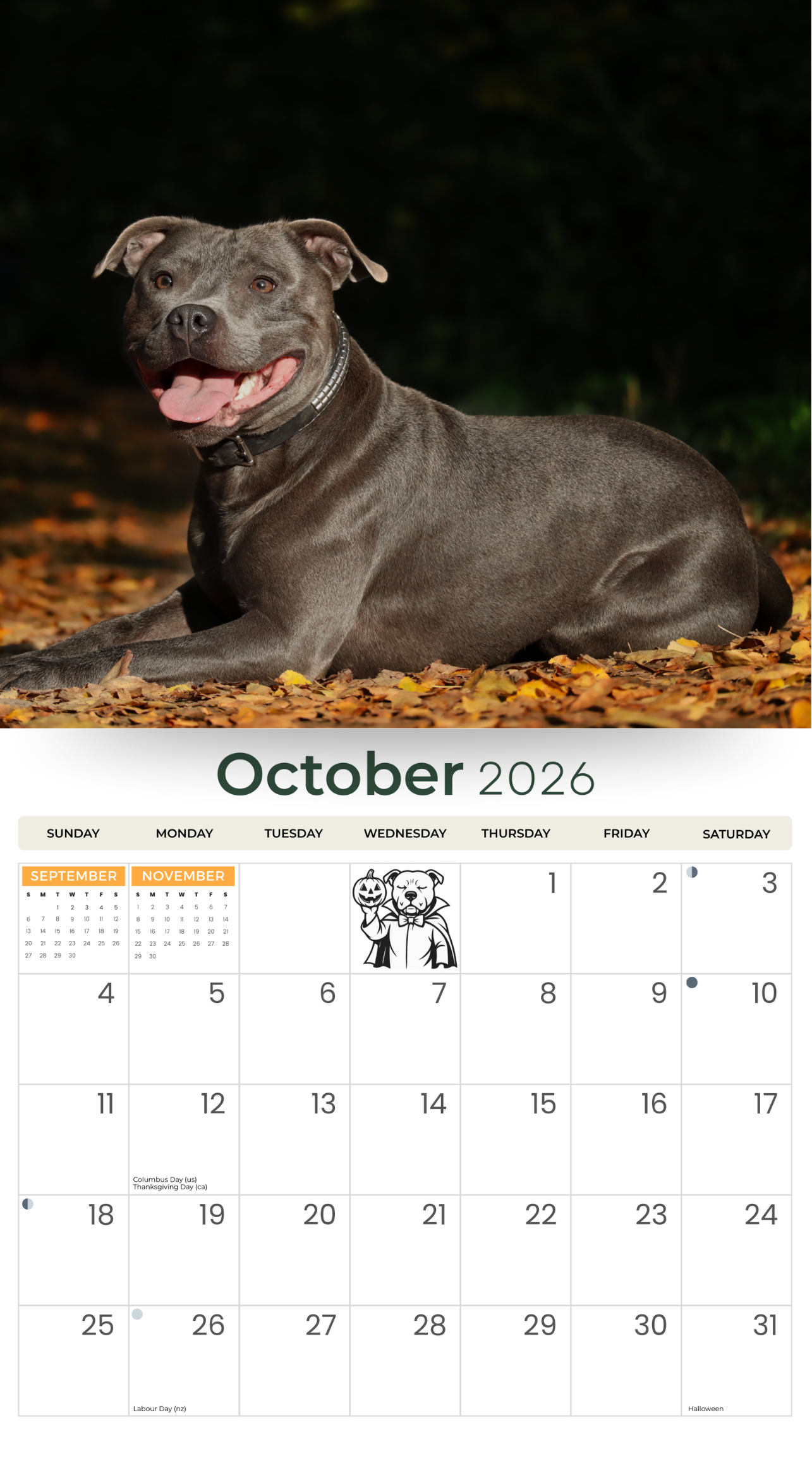 2026 Staffordshire Bull Terrier - Deluxe Wall Calendar