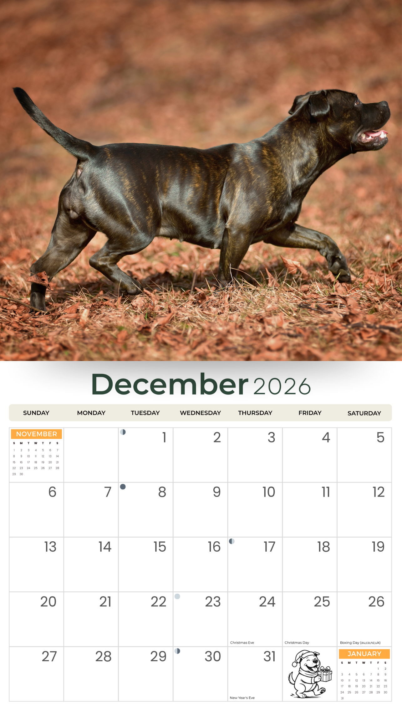 2026 Staffordshire Bull Terrier - Deluxe Wall Calendar