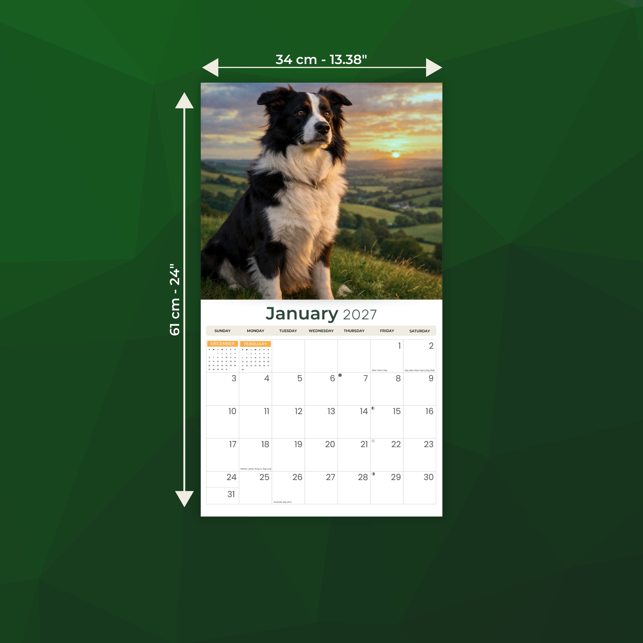 2027 Border Collies - Deluxe Wall Calendar