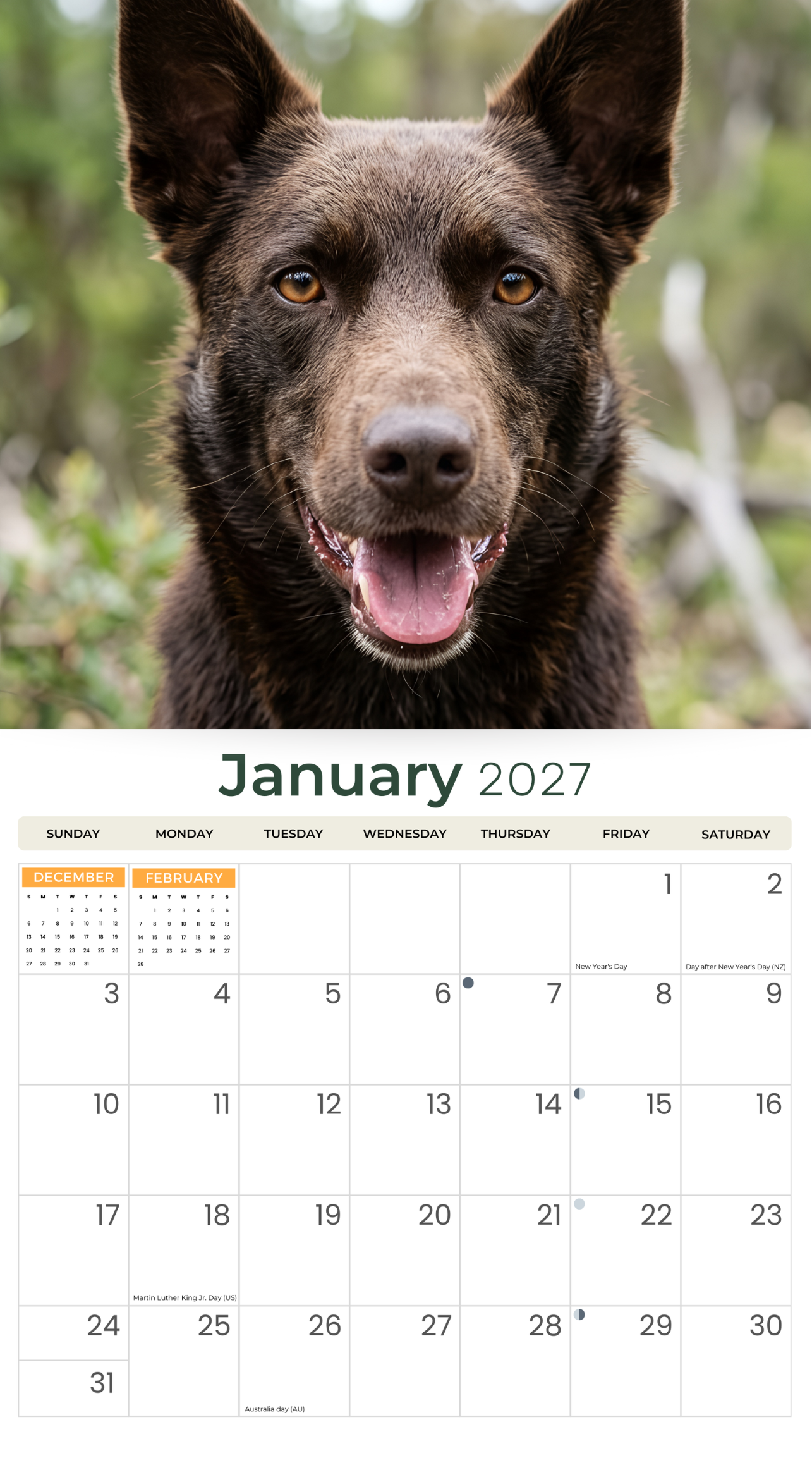 2027_Kelpies_-_Deluxe_Wall_Calendar__inside_Cover_.png