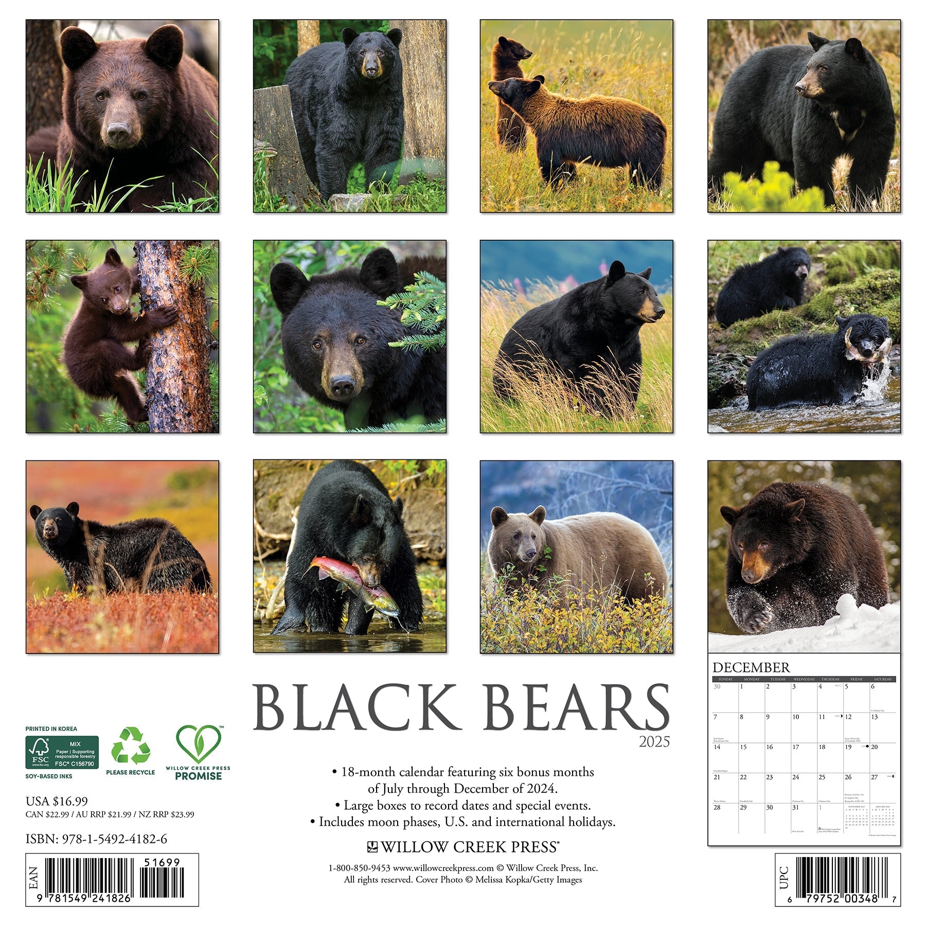 2025 Black Bears - Square Wall Calendar (US Only)