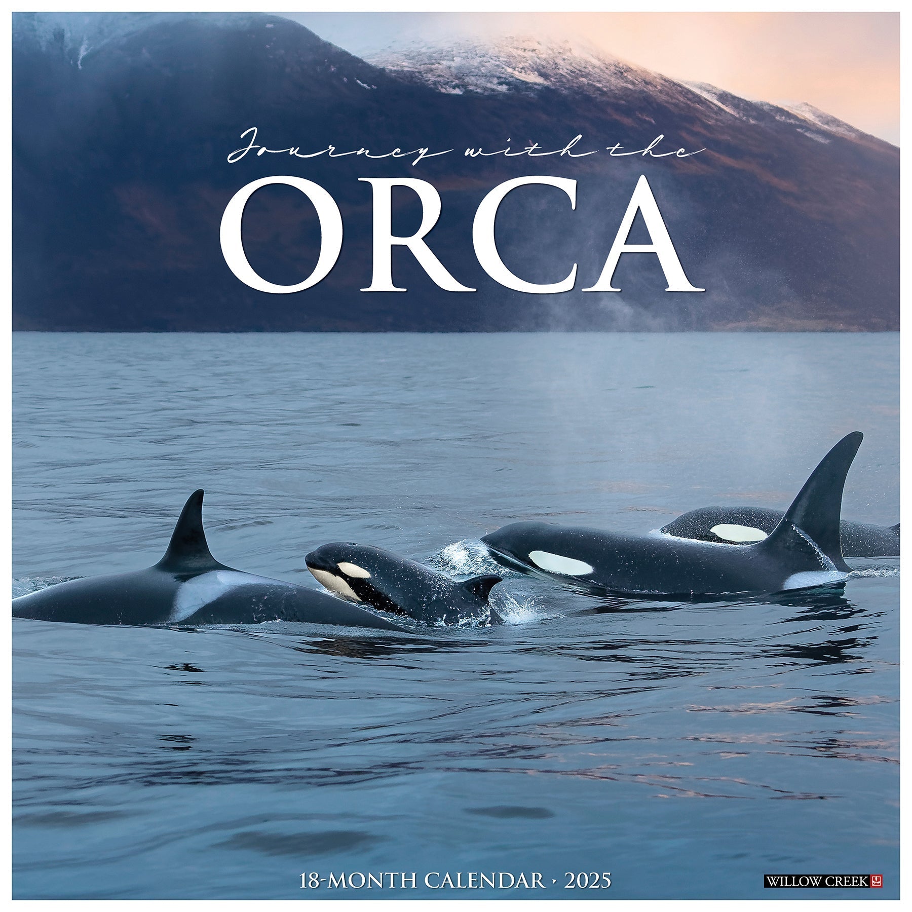 2025 Orca (Journey With the) - Square Wall Calendar (US Only)