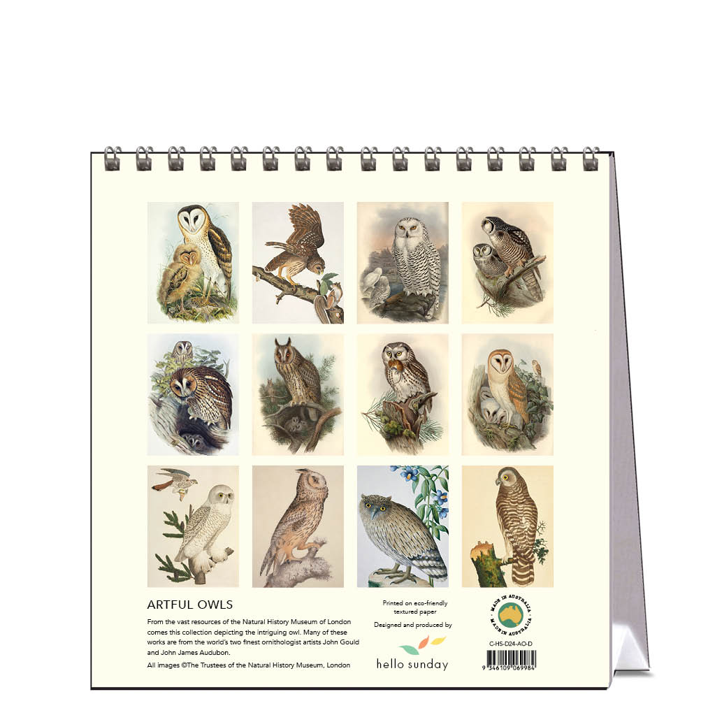 2024 Artful Owls - Desk Easel Calendar