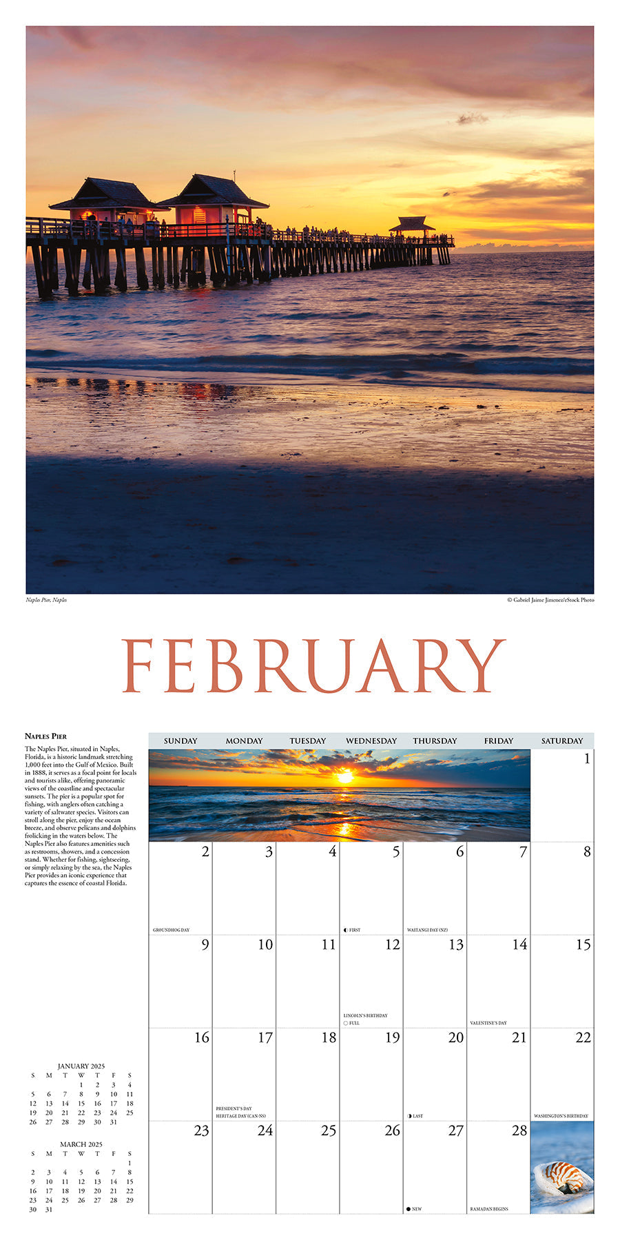 2025 Florida - Square Wall Calendar (US Only)