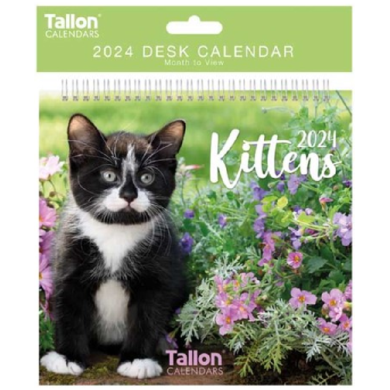 2024 Kittens - Desk Easel Calendar