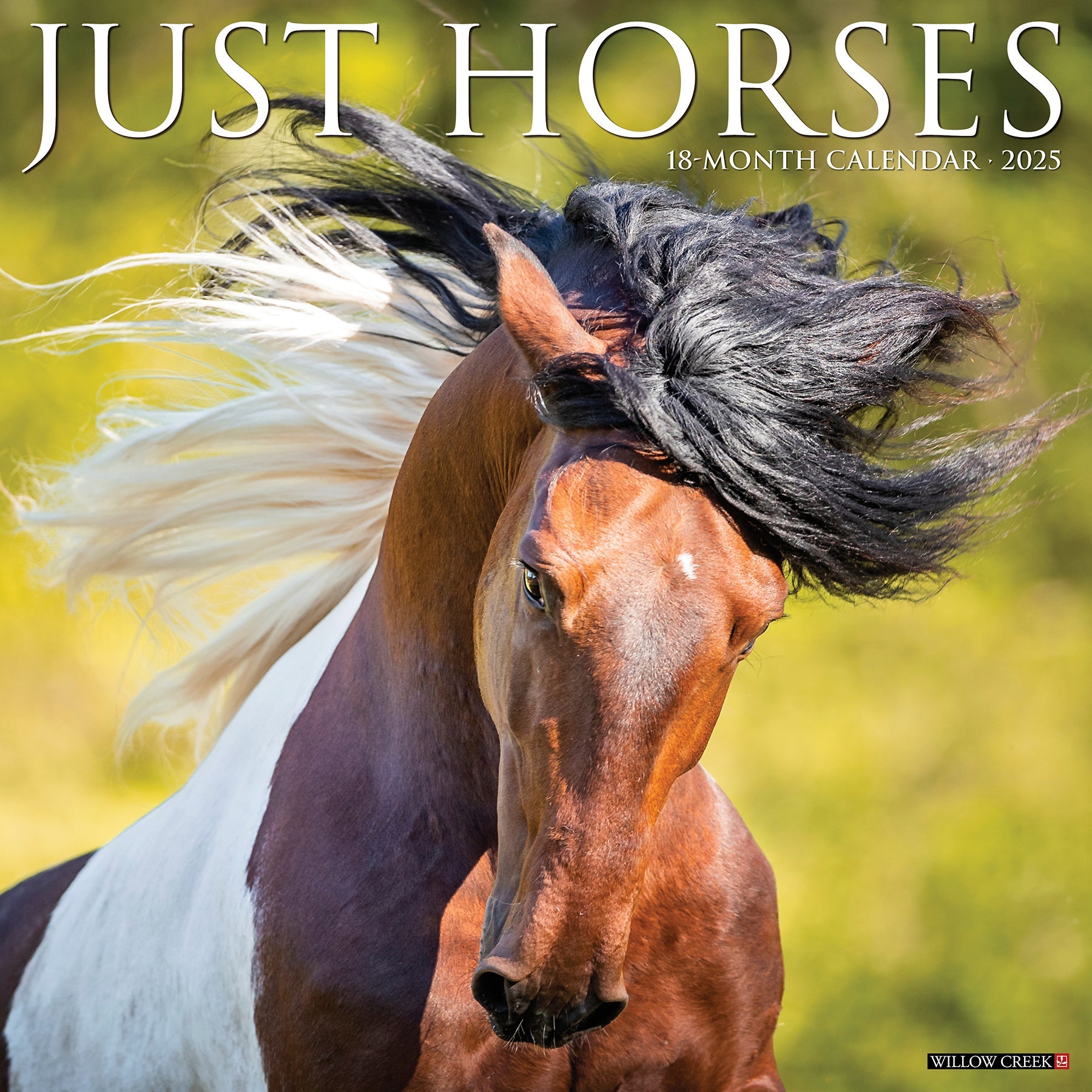 2025 Horses - Square Wall Calendar (US Only)