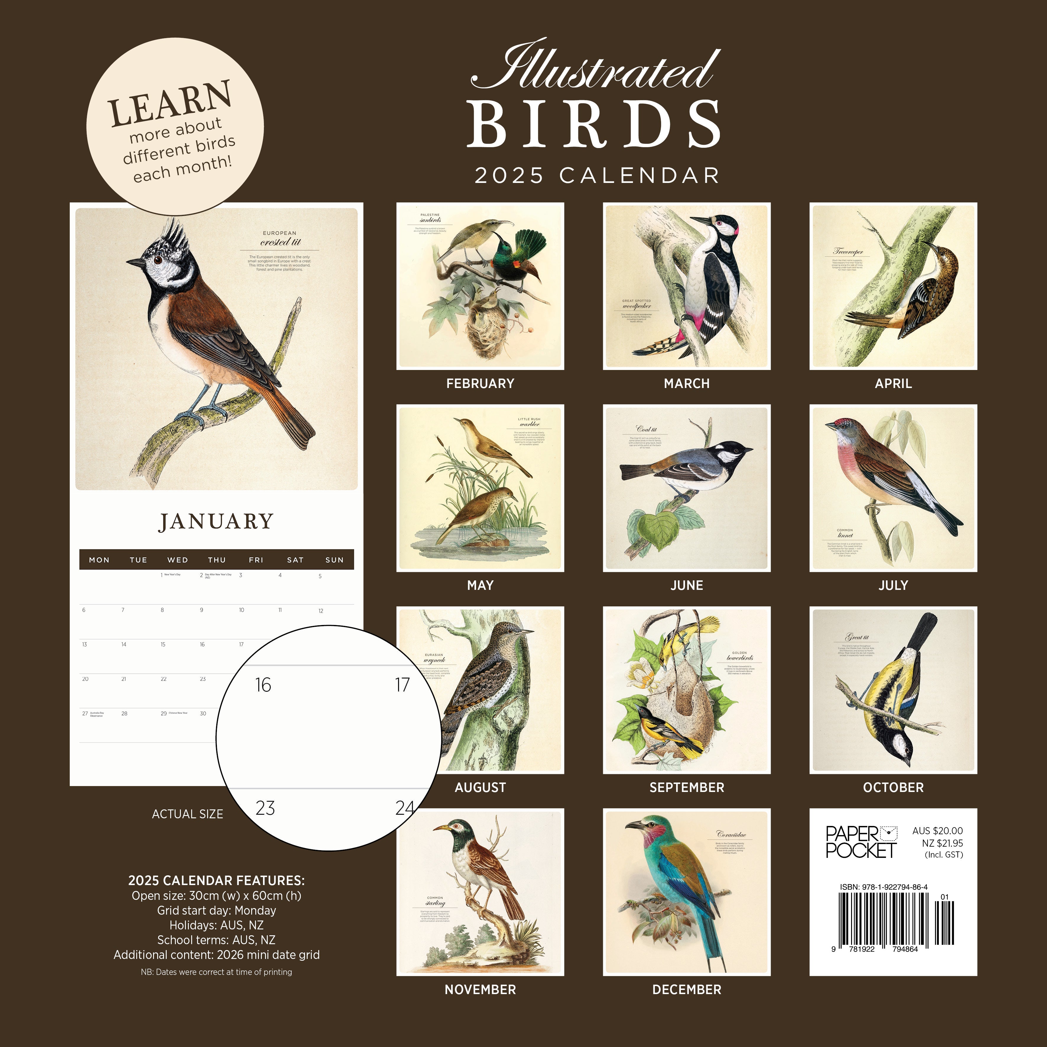 2025 Illustrated Birds - Square Wall Calendar